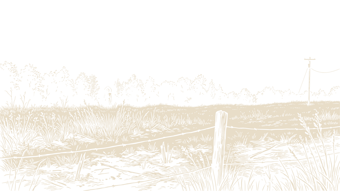 A distant unidentified figure standing at the edge of an Appalachian field beyond a barbed-wire fence, with a utility pole against the dark sky.
