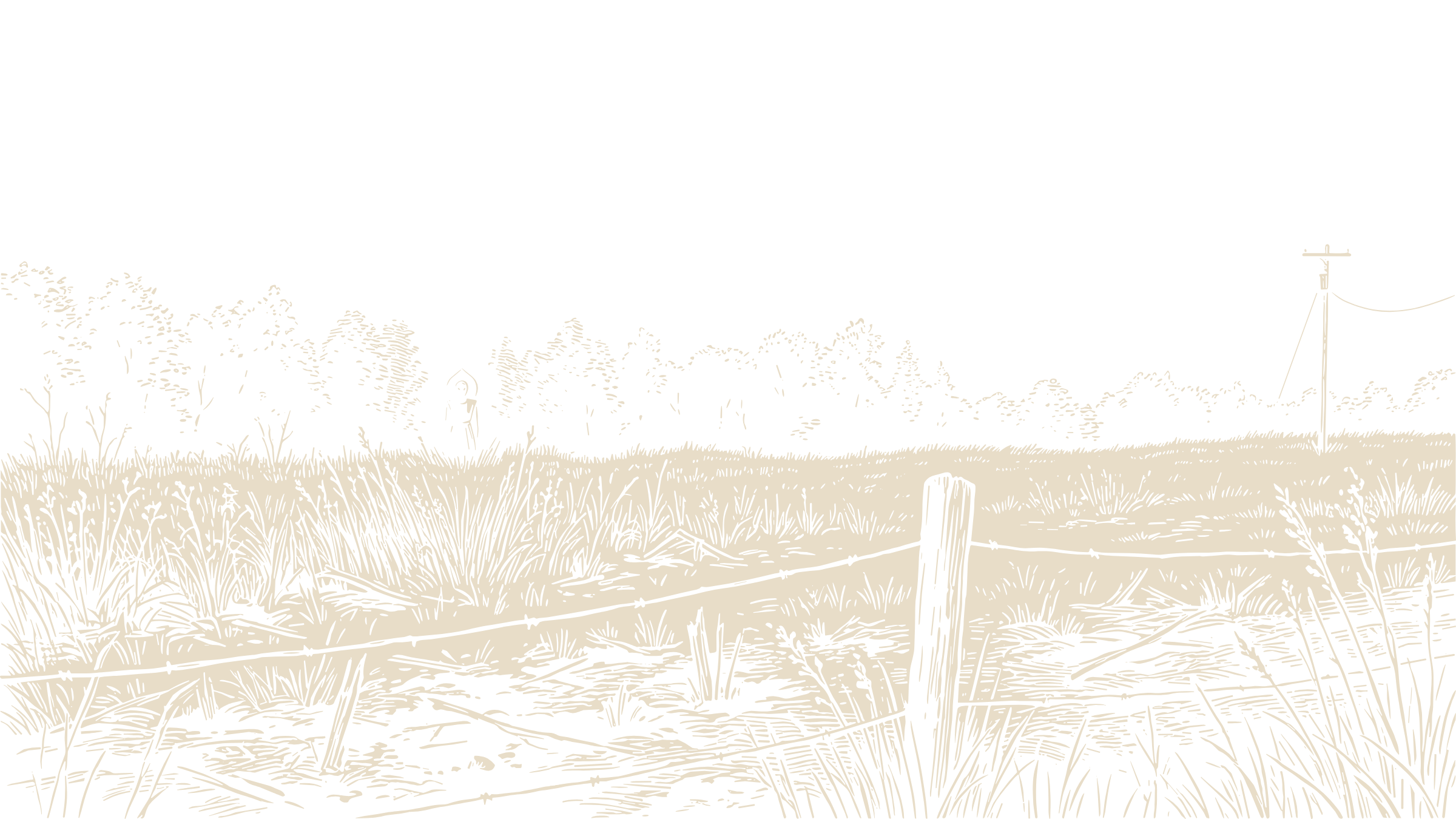 A distant unidentified figure standing at the edge of an Appalachian field beyond a barbed-wire fence, with a utility pole against the dark sky.