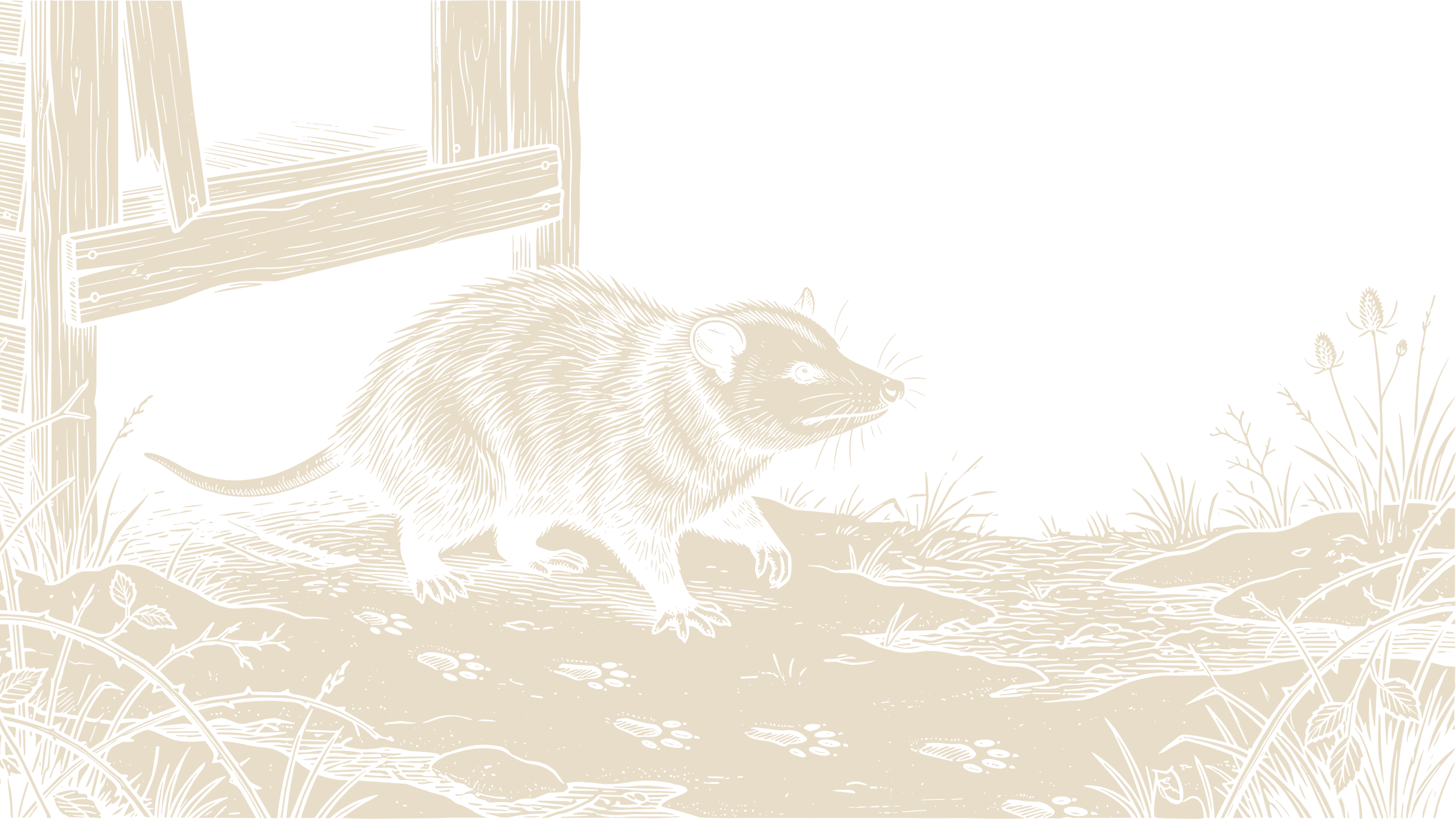 Black-and-ivory linocut illustration of an opossum leaving a boarded wooden shelter and walking across patchy snow.