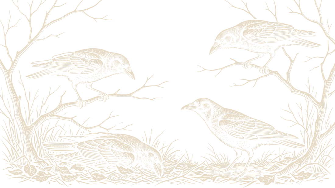 Black-and-ivory linocut illustration of three crows perched on bare branches above a small found object.