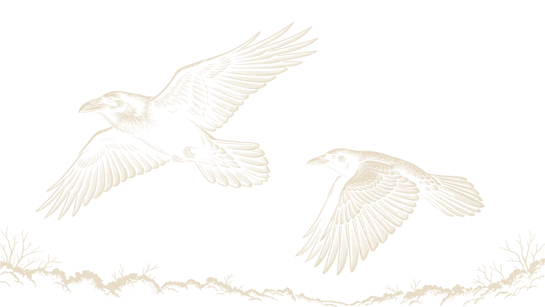 Black-and-ivory linocut illustration of a raven and a crow flying side by side, showing their different sizes and tail shapes.