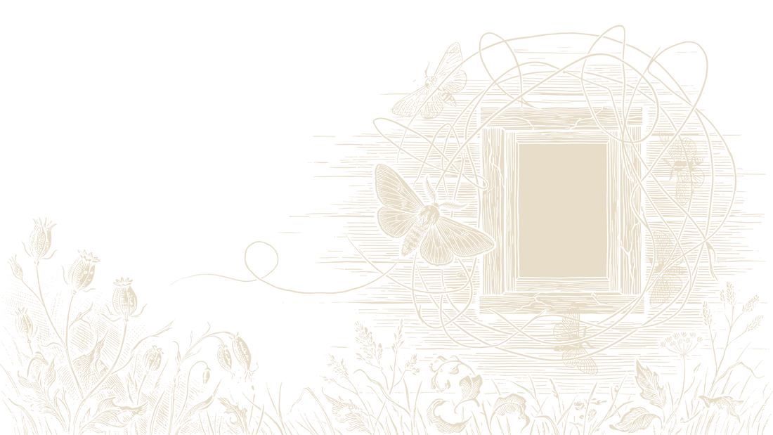 Black-and-ivory linocut illustration of moths circling a small glowing window in looping flight paths at night.