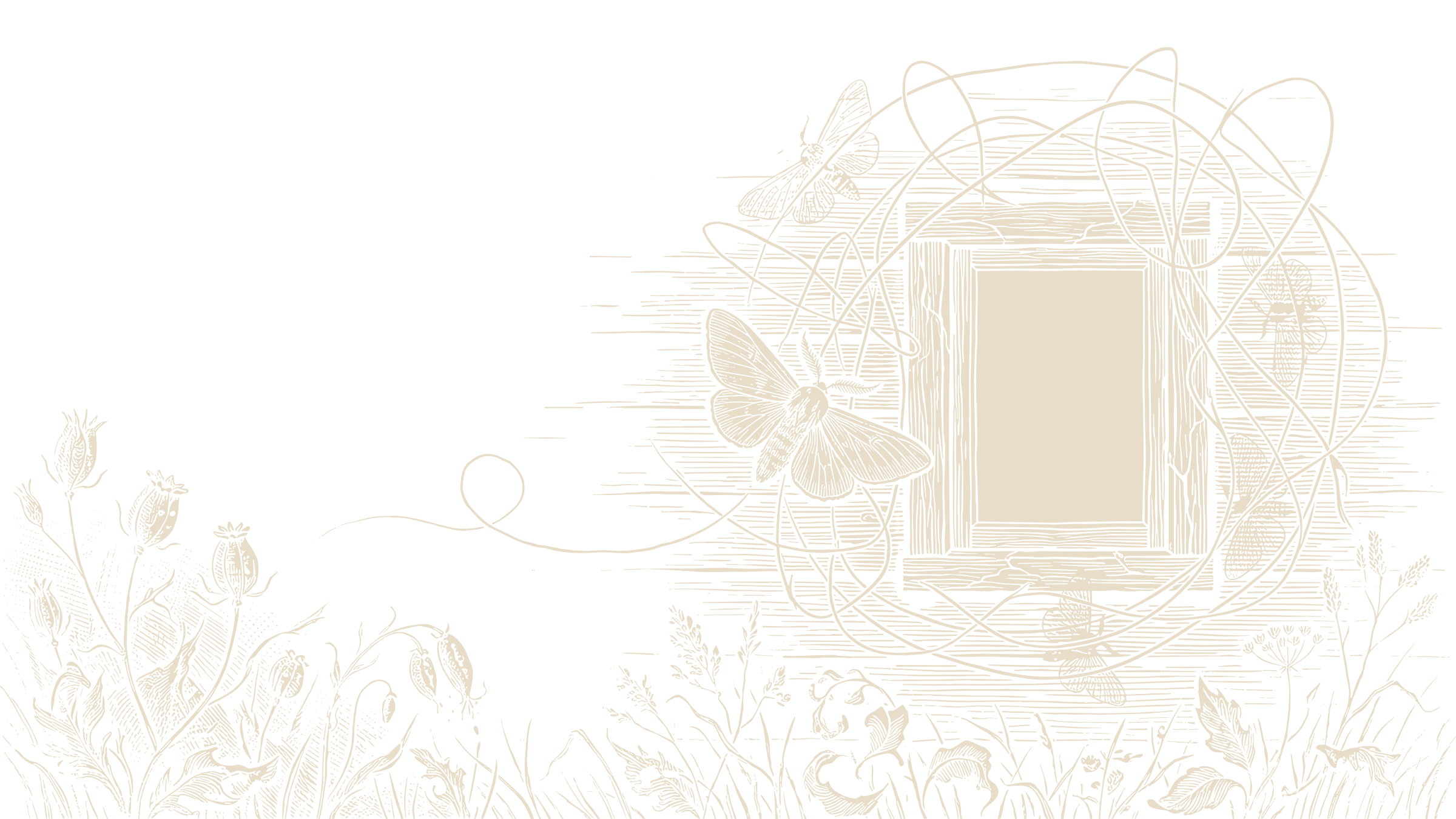 Black-and-ivory linocut illustration of moths circling a small glowing window in looping flight paths at night.