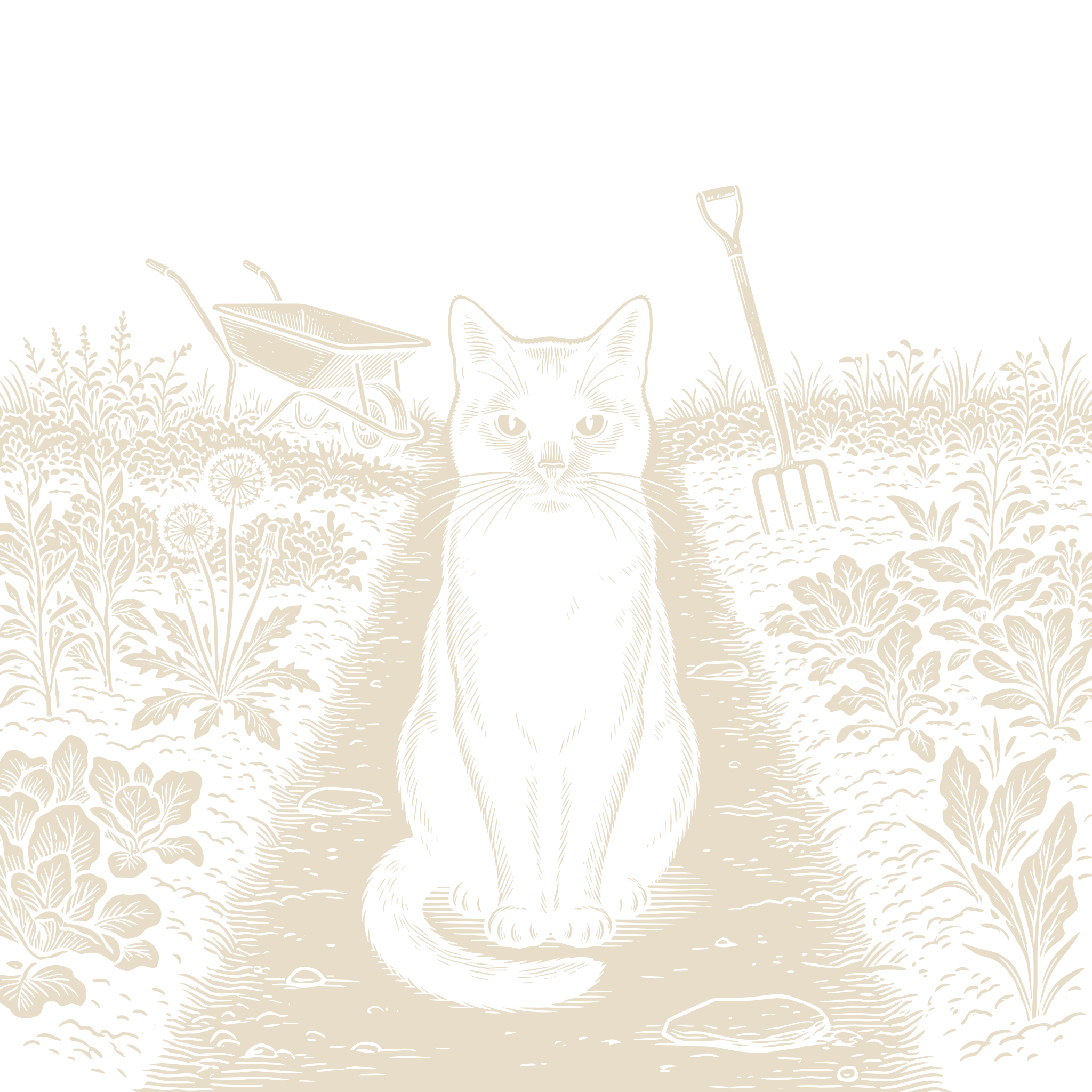 Wood-engraving of a black cat sitting squarely in the middle of a garden path and refusing to move, in bone ivory on black.