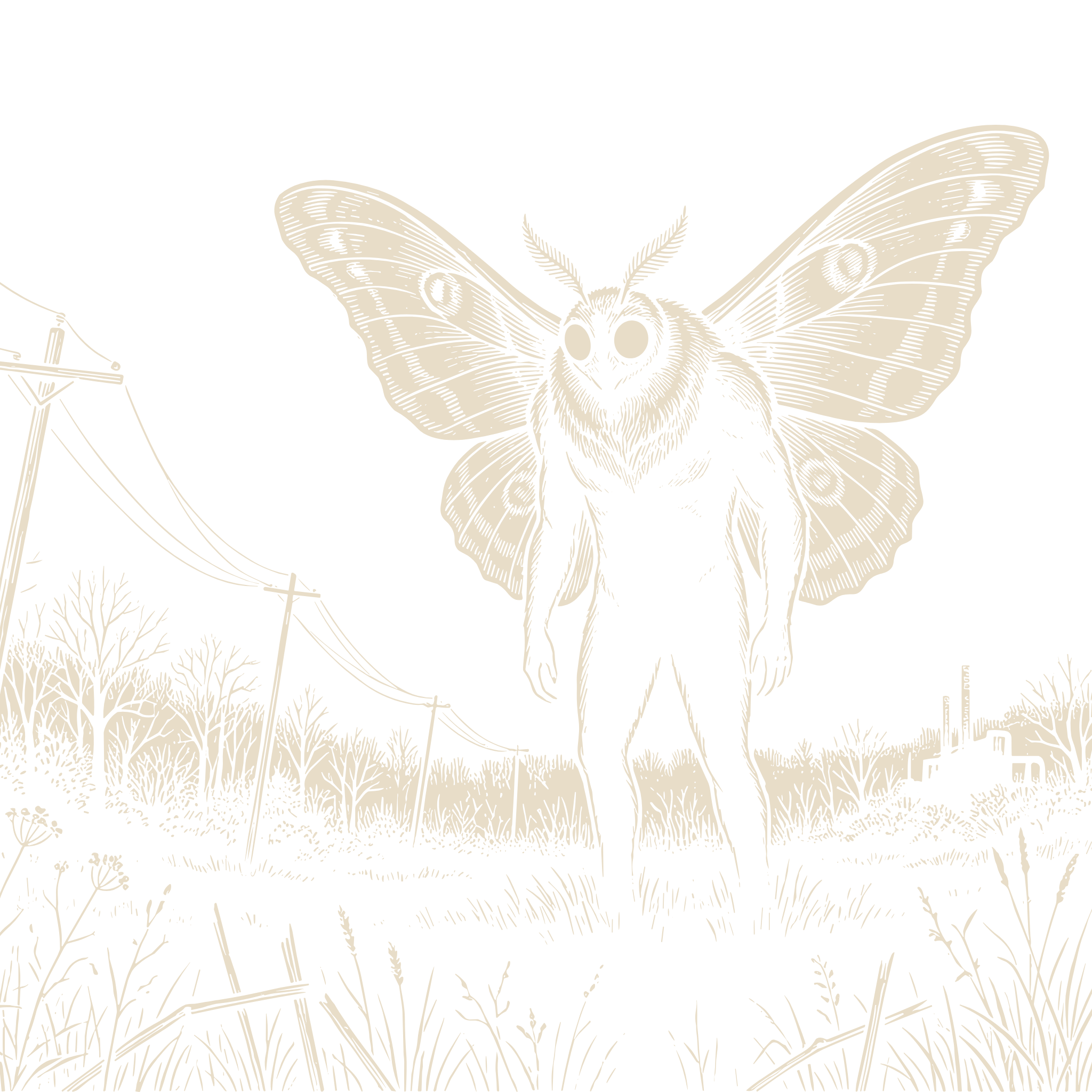 Wood-engraving of a winged Mothman with large pale eyes standing at a dark treeline beneath sagging power lines, in bone ivory on black.