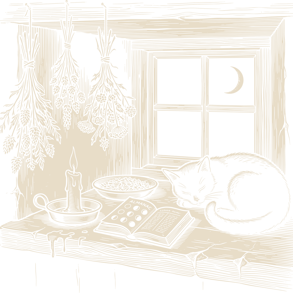 Wood-engraving of a witch's windowsill at night with a guttering candle, an open lunar almanac and a sleeping black cat, in bone ivory on black.