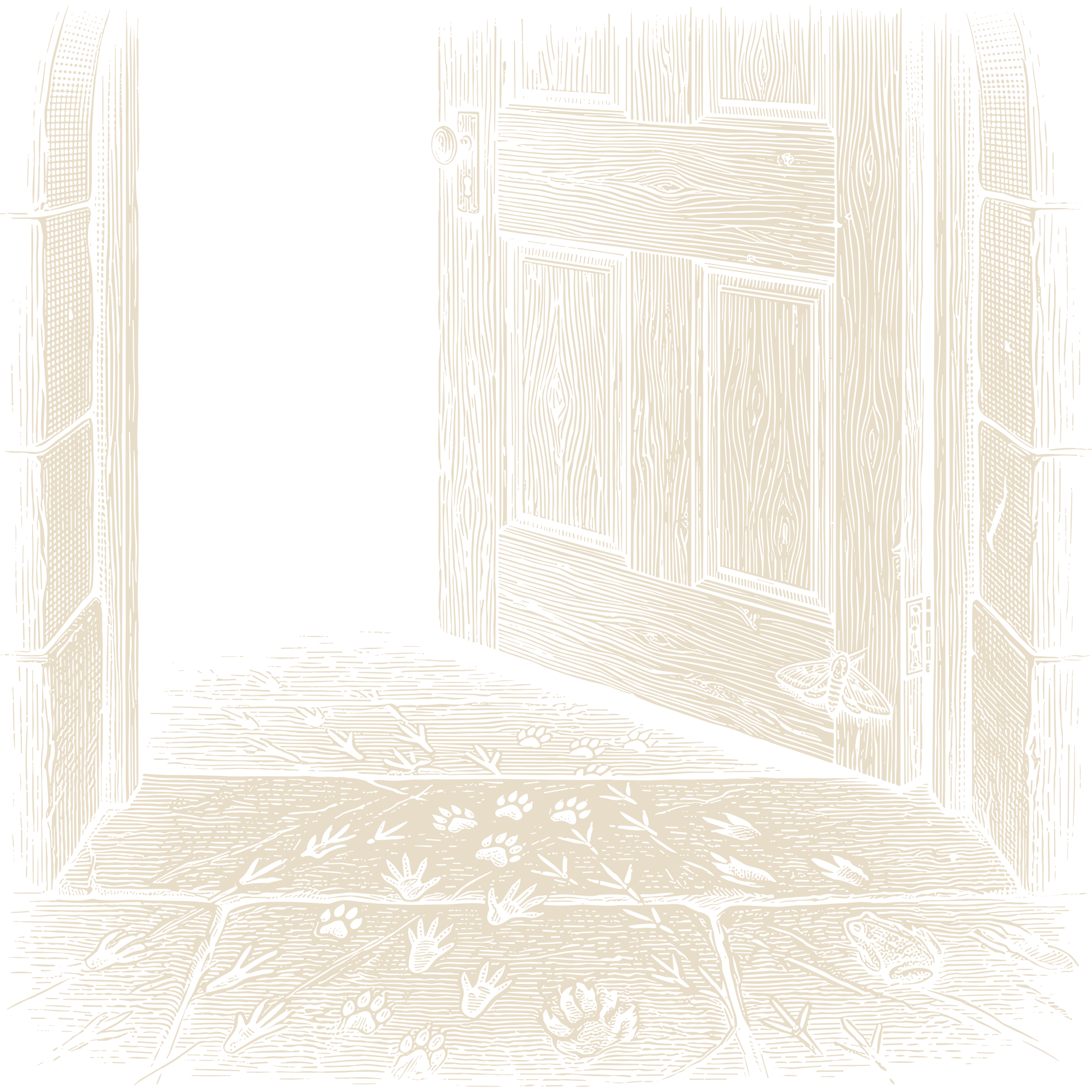 Wood-engraving of a half-open wooden door with muddy paw prints, bird tracks, and a moth resting on the frame, a toad waiting at the threshold, in bone ivory on black.