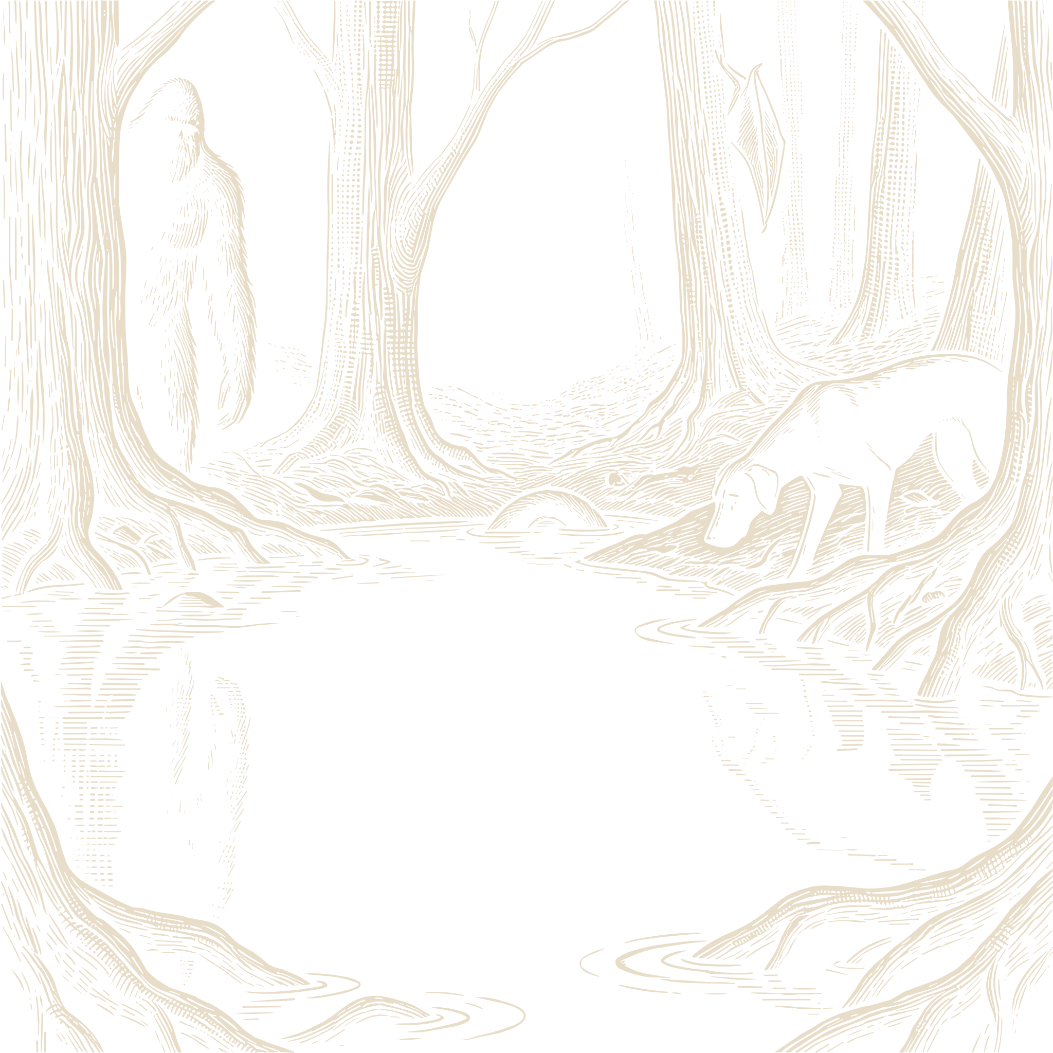 Wood-engraving of a bigfoot-like figure standing among swamp trees, watching a black canine cryptid drink from the water on the opposite bank, in bone ivory on black.