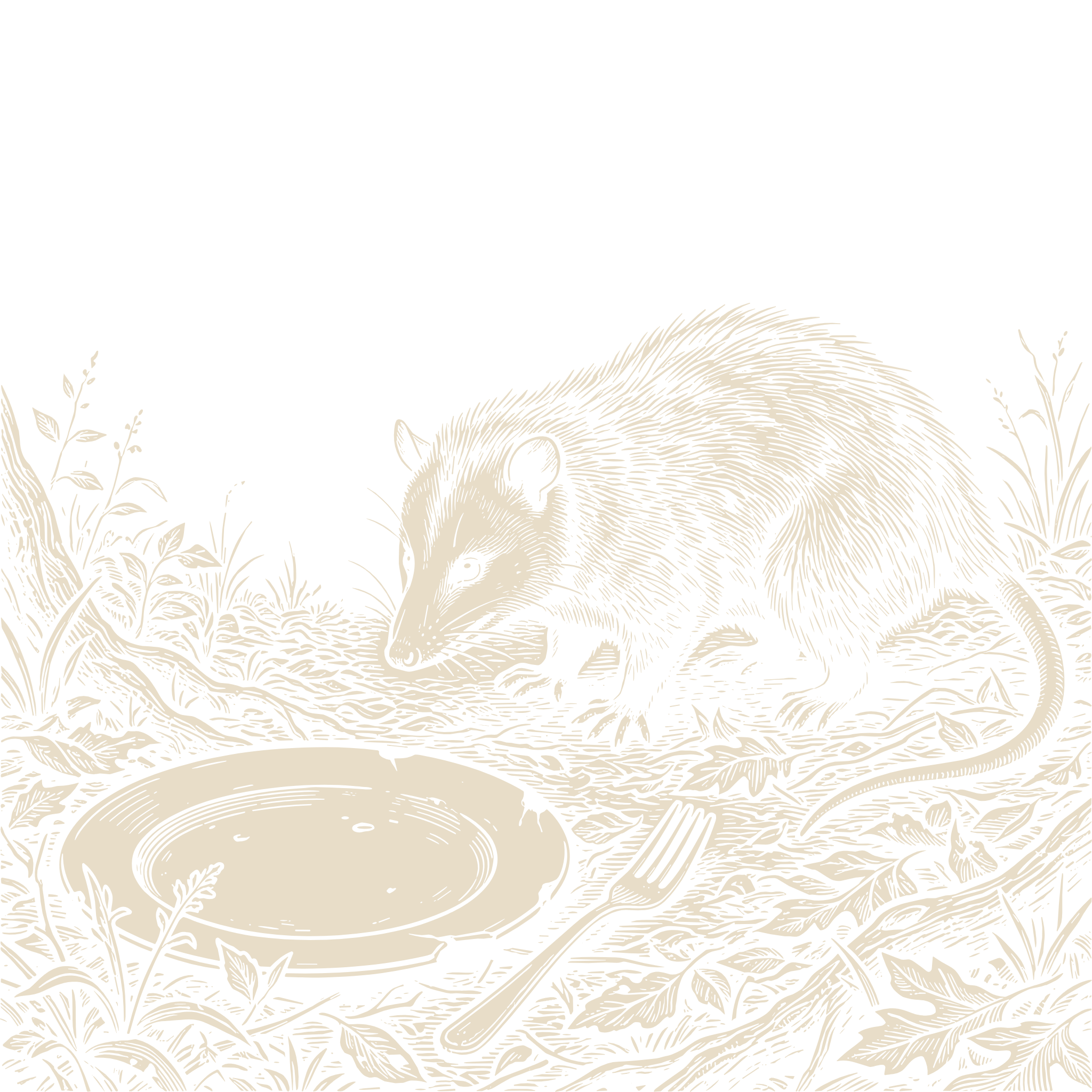 Wood-engraving of an opossum standing over a dropped, cracked dinner plate and fork, in bone ivory on black.