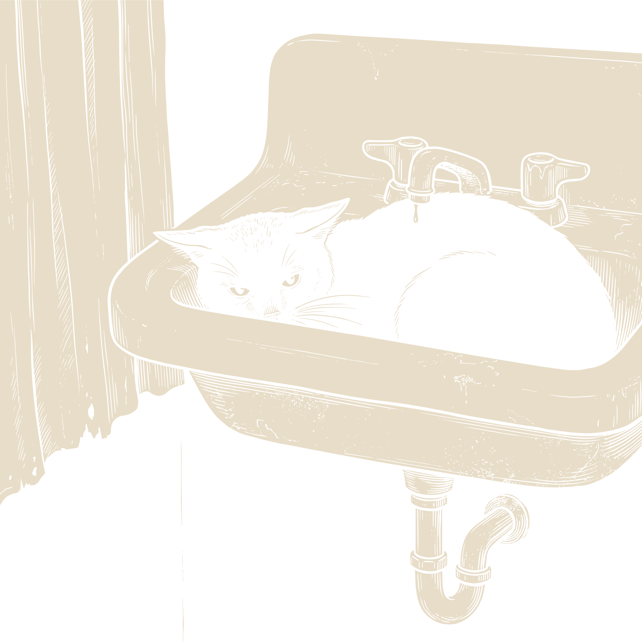 Wood-engraving of a black cat curled inside a bathroom sink under a dripping faucet, a curtain hanging beside it, in bone ivory on black.