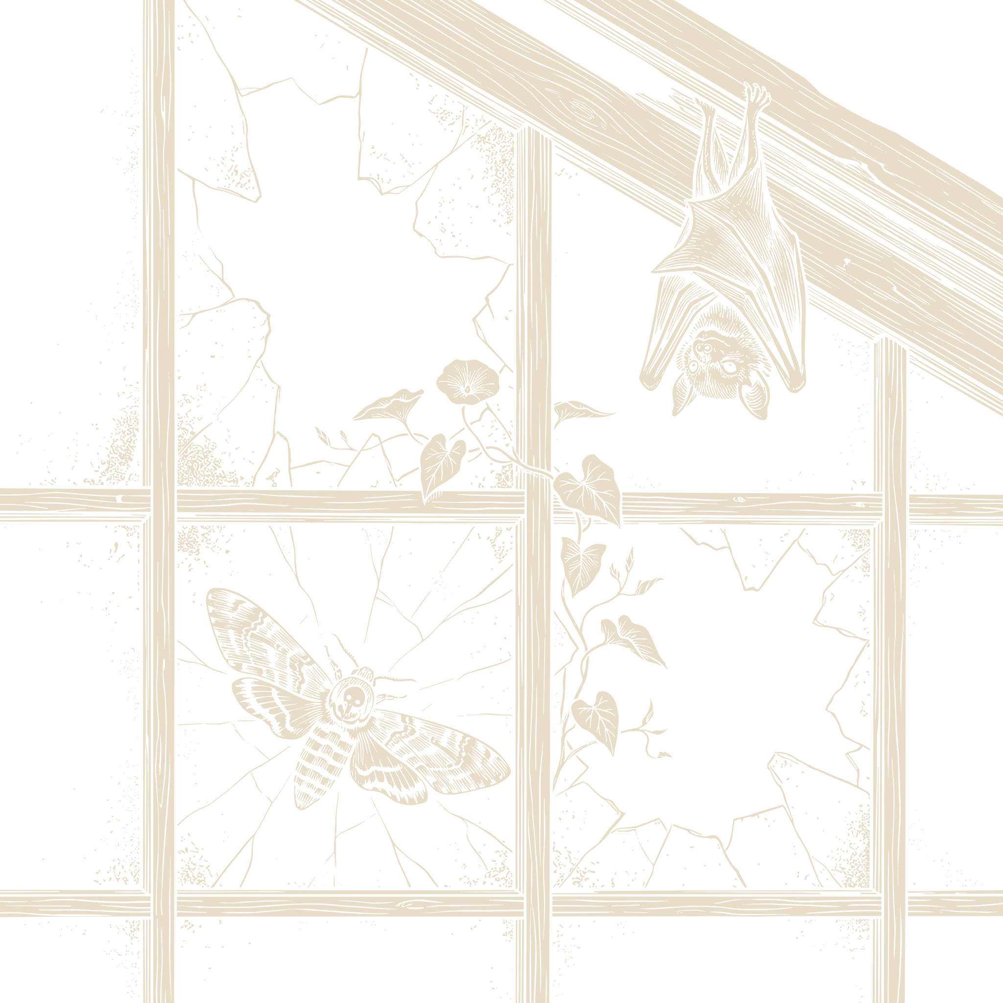 Wood-engraving of a bat hanging from a rafter above a death's-head hawkmoth resting on a cracked greenhouse window, morning glory vines climbing the frame, in bone ivory on black.