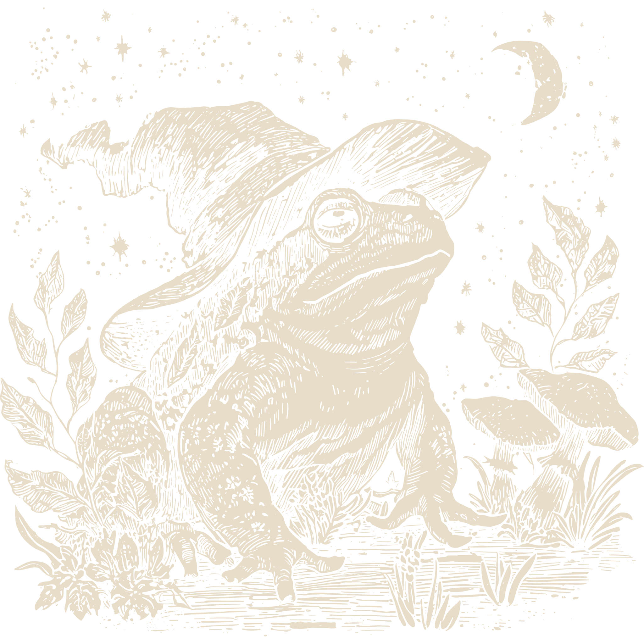 Black and ivory engraving of a toad in a witch hat sitting among mushrooms and leaves under a crescent moon.