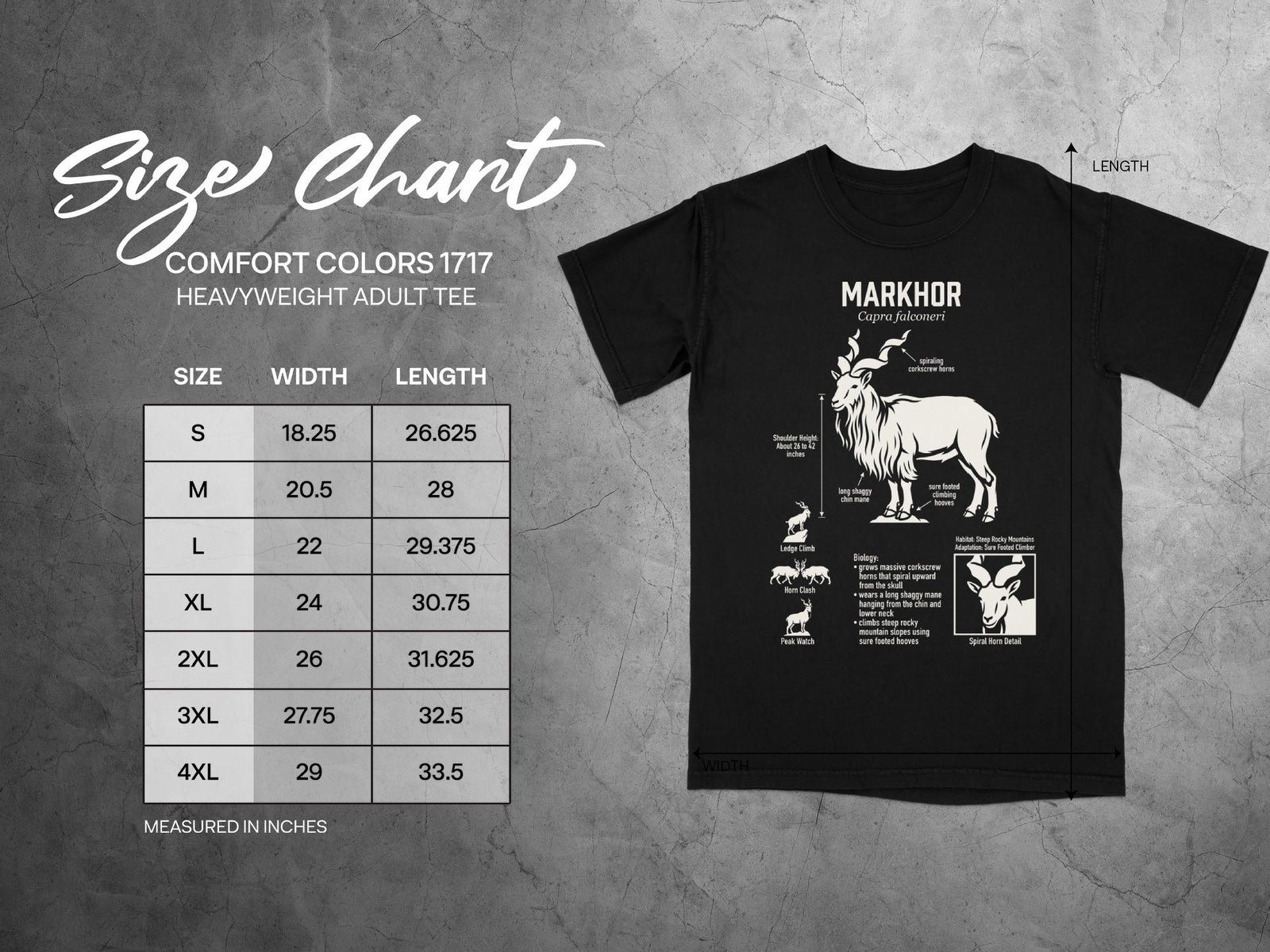 Markhor t-shirt size chart for Comfort Colors 1717 with width and length measurements.