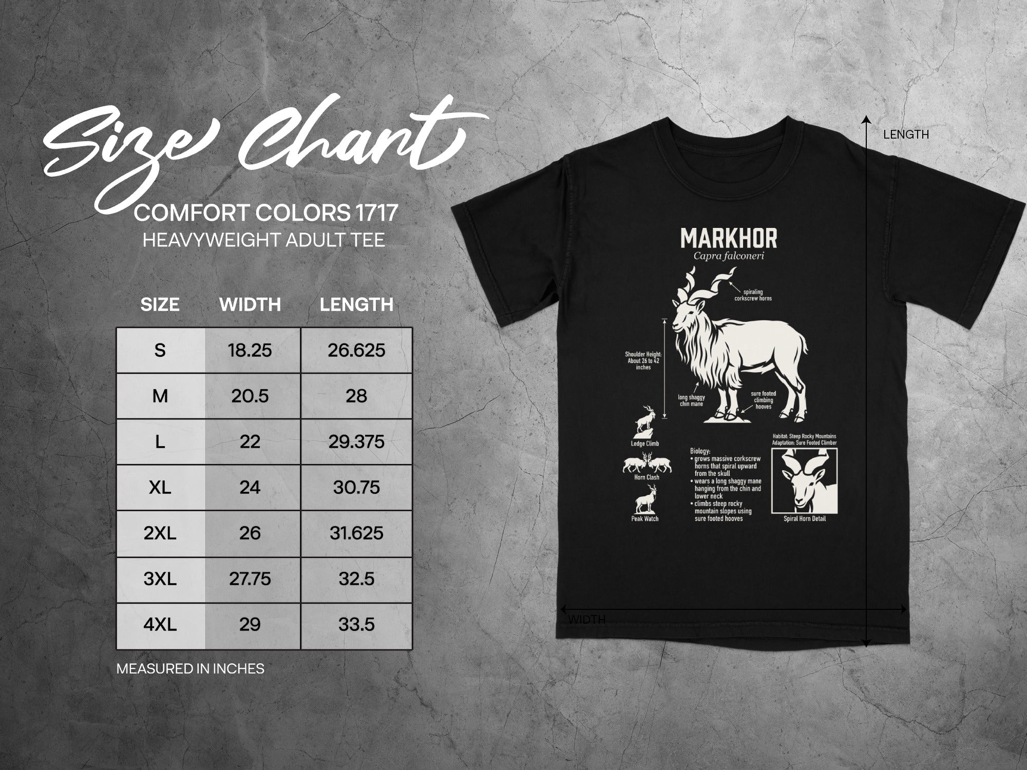 Markhor t-shirt size chart for Comfort Colors 1717 with width and length measurements.