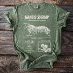 Green shirt with Mantis Shrimp illustration and anatomical labels and details.