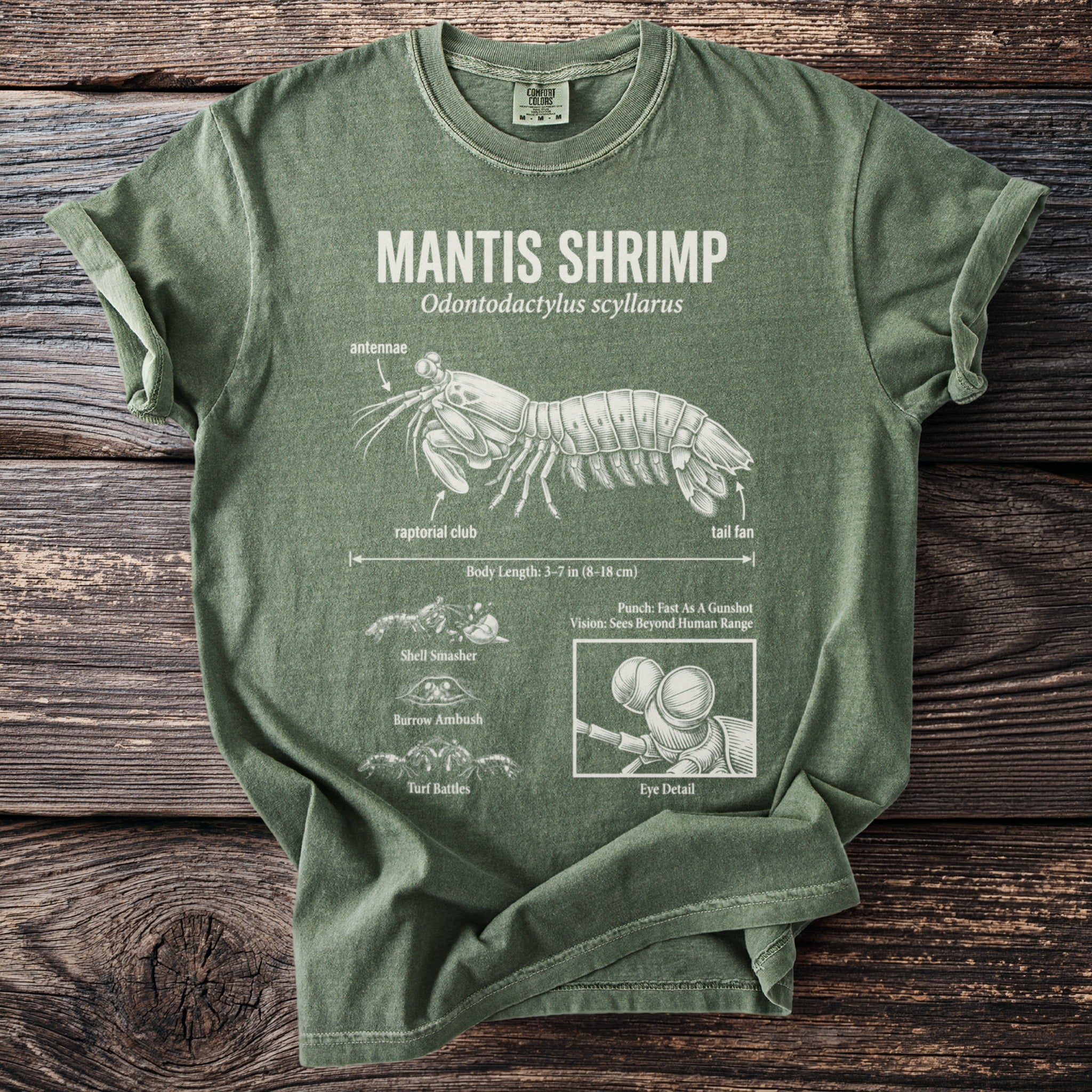 Green shirt with Mantis Shrimp illustration and anatomical labels and details.