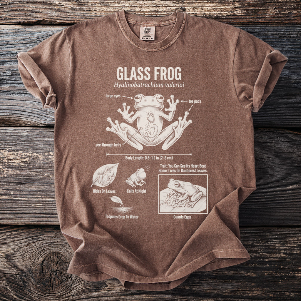T-shirt with Glass Frog diagram, including anatomy and life cycle facts.