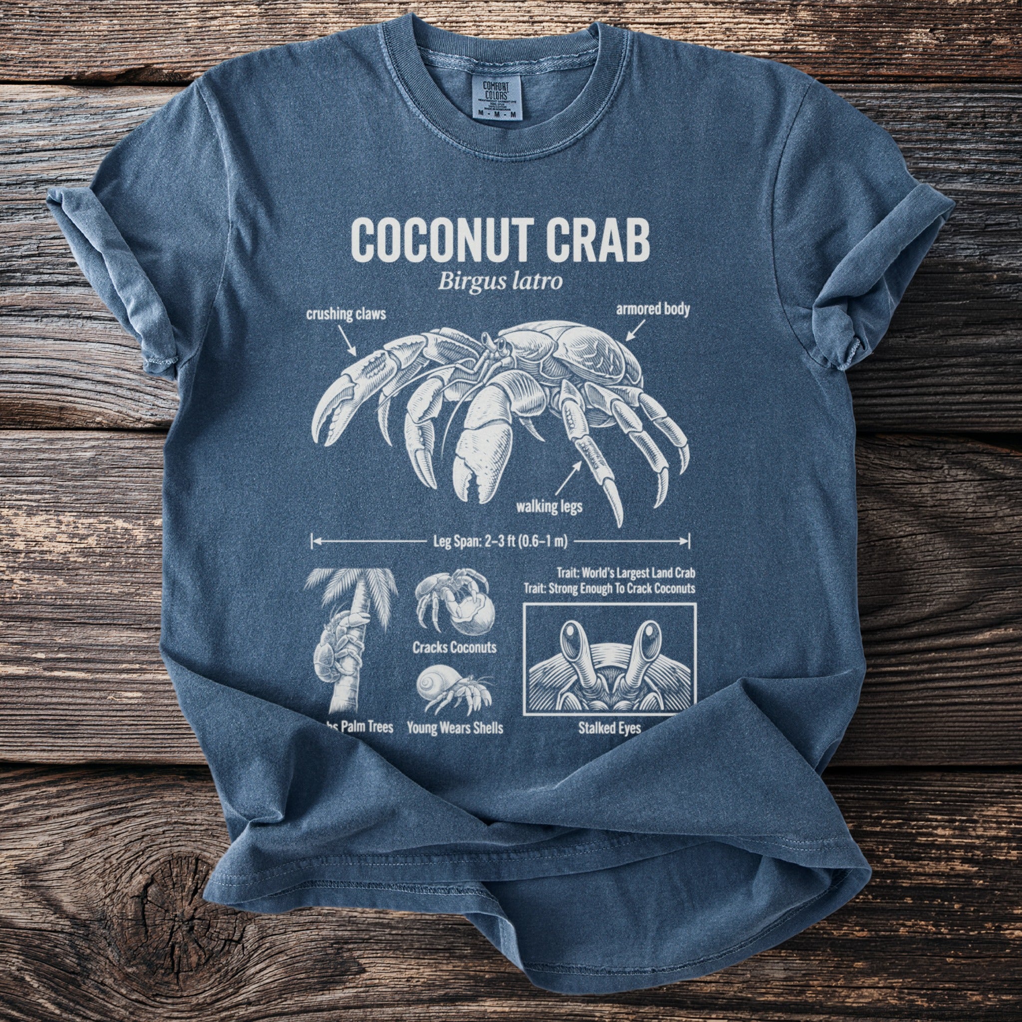 T-shirt with diagram of coconut crab, its anatomy, and facts.