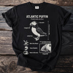 Atlantic Puffin diagram with scientific name, features and behaviors.