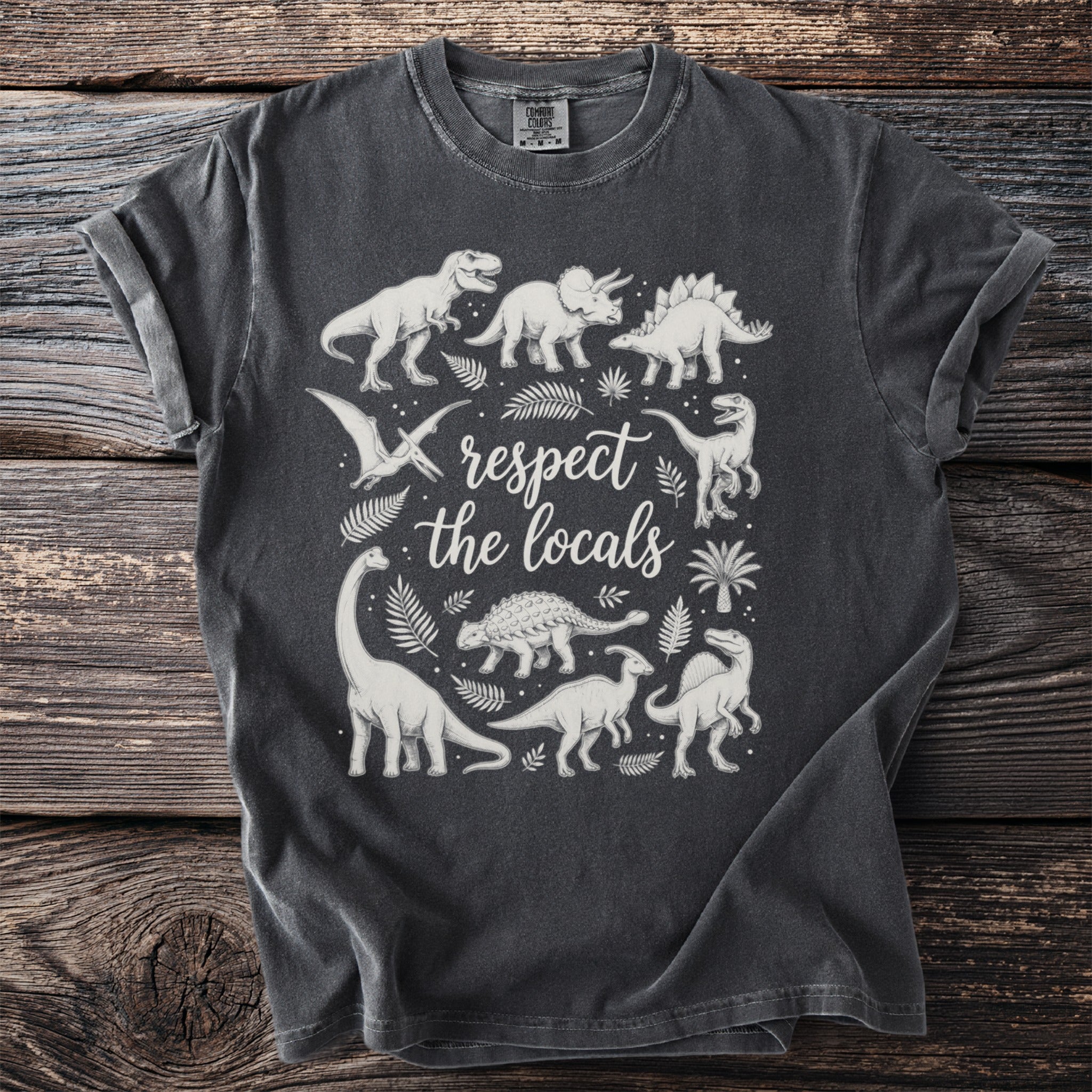 Gray t-shirt with a vintage dinosaur graphic and the text "respect the locals".