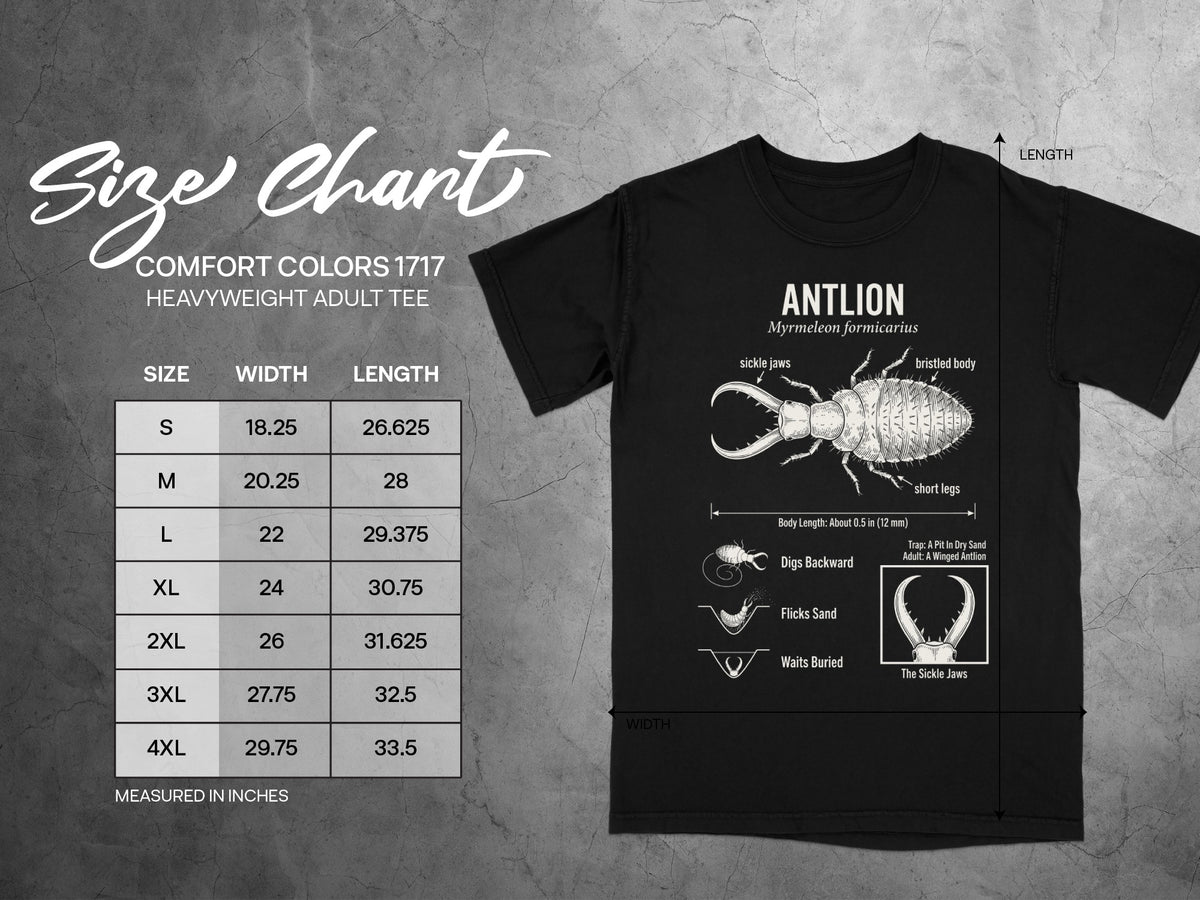 Comfort Colors 1717 adult tee size chart showing width and length measurements in inches.