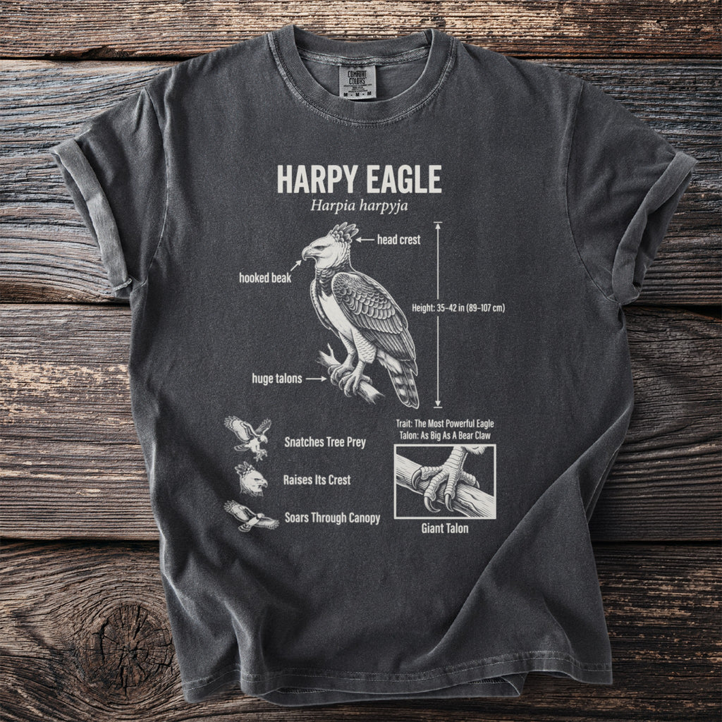 Harpy Eagle anatomy diagram with hooked beak, head crest, and talons.