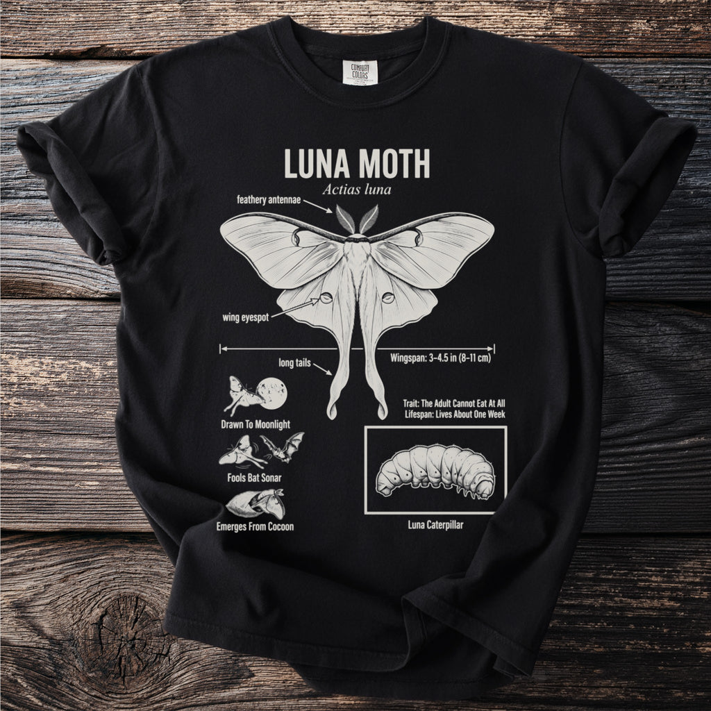 Black t-shirt with educational diagram of a Luna moth, caterpillar, and lifecycle facts.