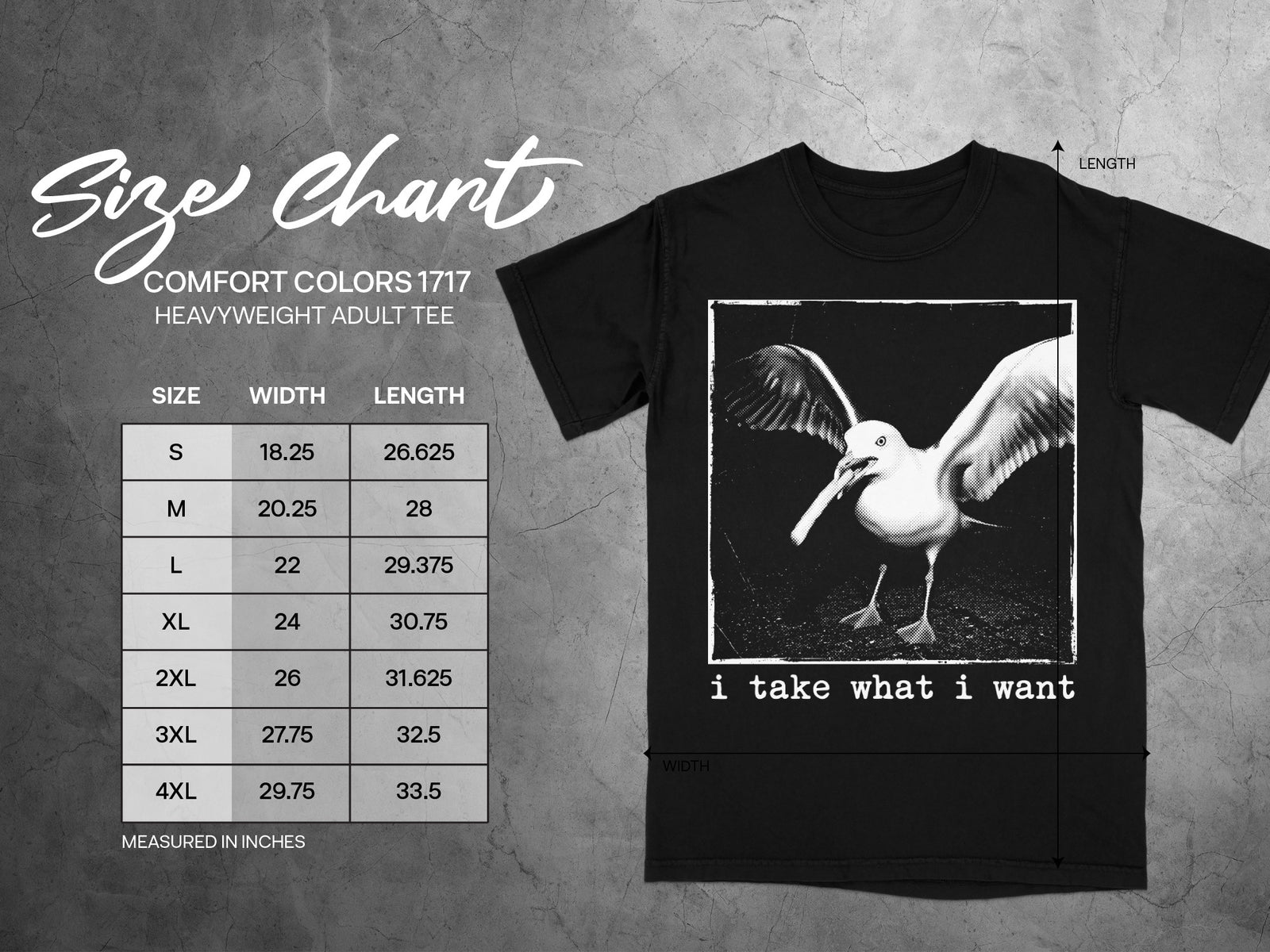 Black t-shirt featuring a size chart and line art of a seagull with text "i take what i want".