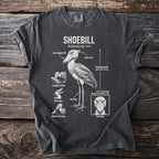 Shoebill bird diagram with labels, including its shoe-shaped bill and long legs.