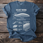 T-shirt with diagram of a velvet worm, labeled with its scientific name and features.