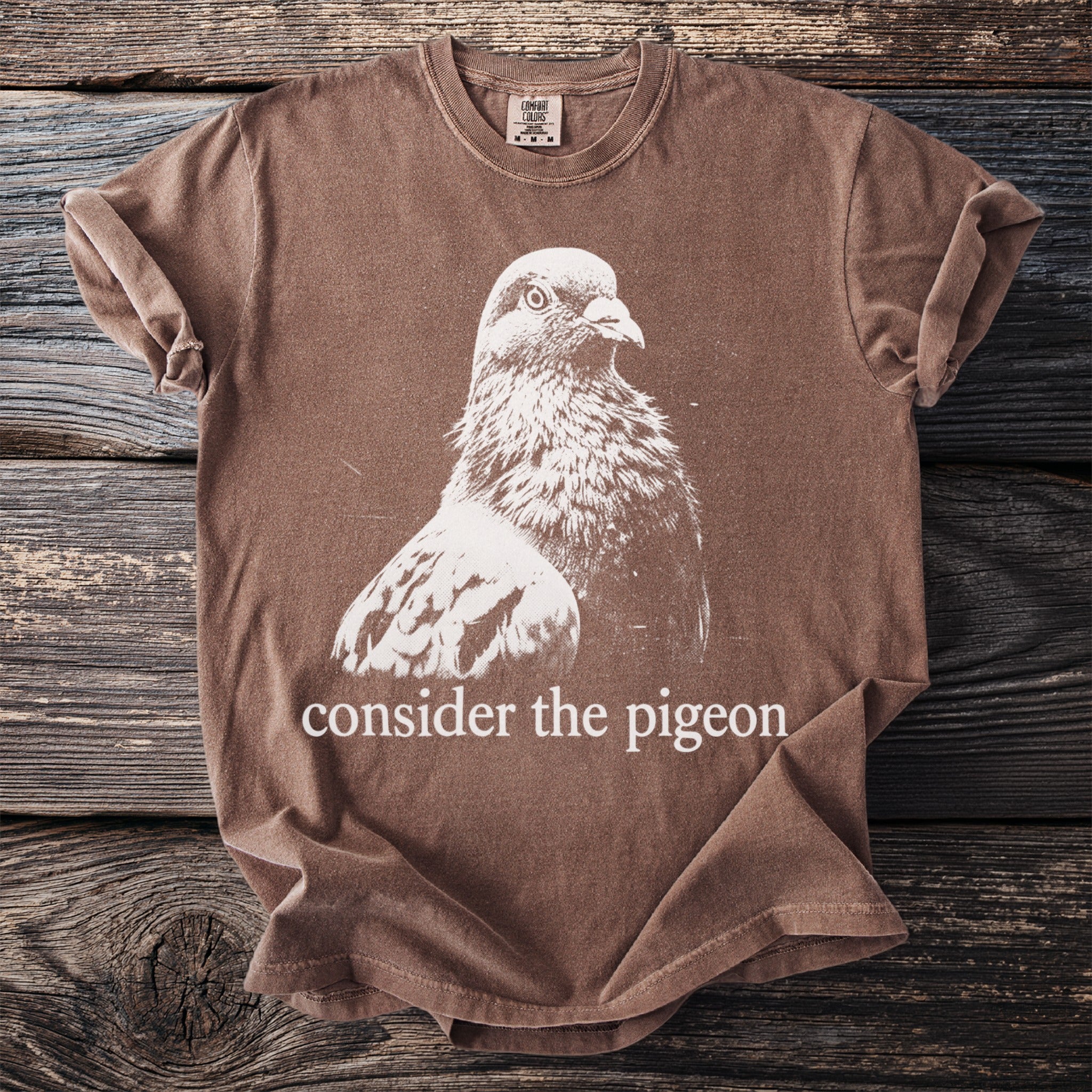 Brown t-shirt with white graphic of a pigeon and text "consider the pigeon".