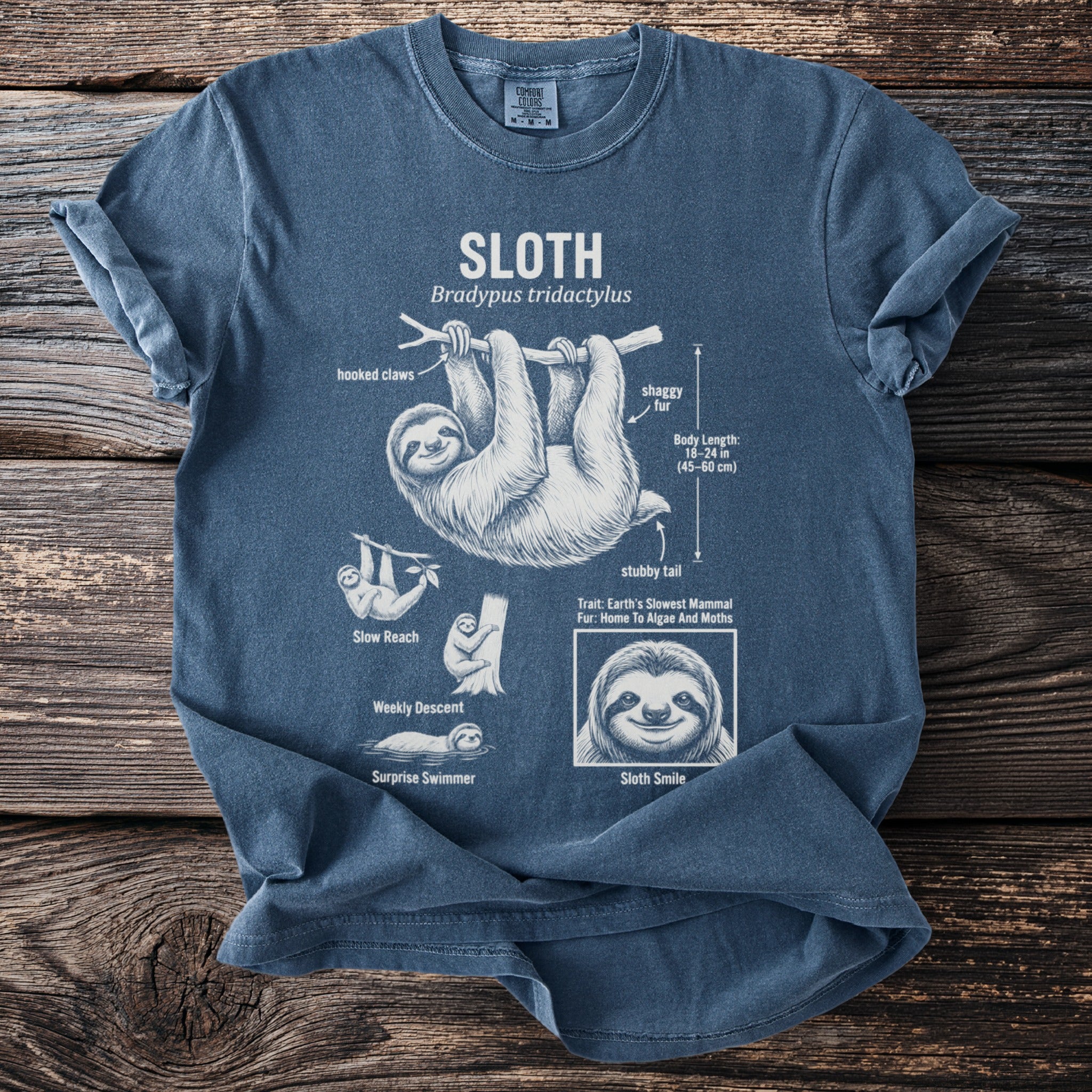 Blue t-shirt graphic with sloth illustration and facts about sloths.