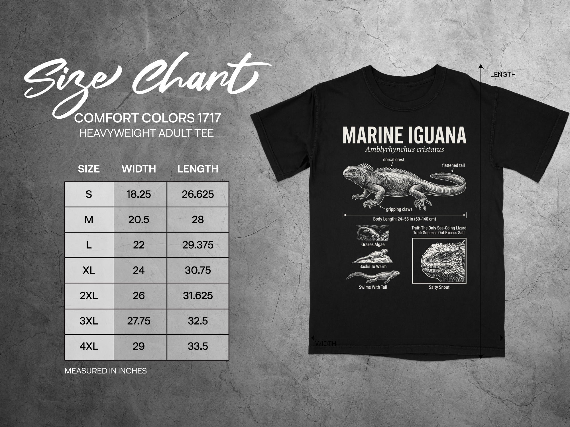 Comfort Colors 1717 garment size chart in inches.