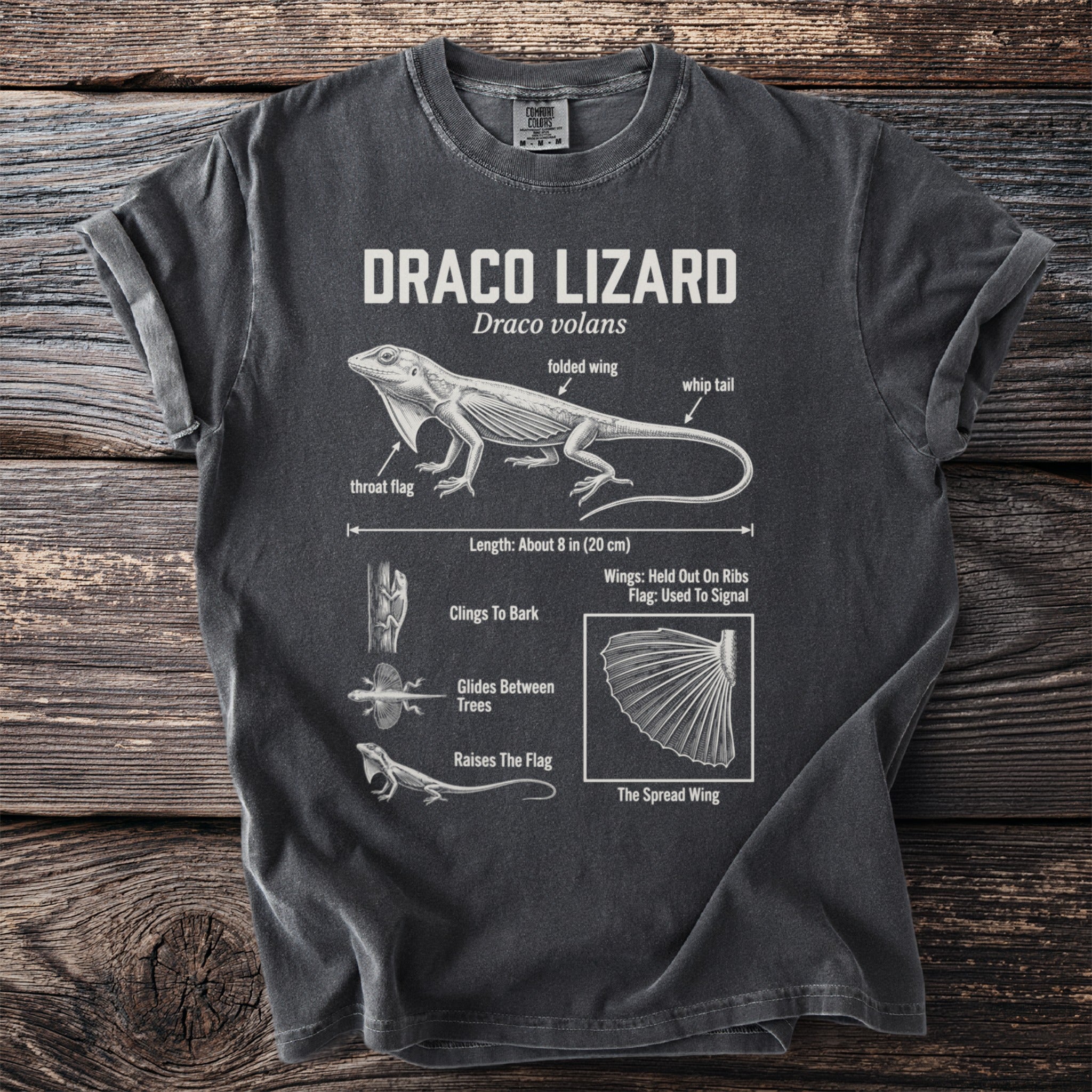 T-shirt with Draco Lizard anatomical diagram and labels.