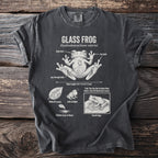 T-shirt featuring a scientific illustration of a Glass Frog with labels.