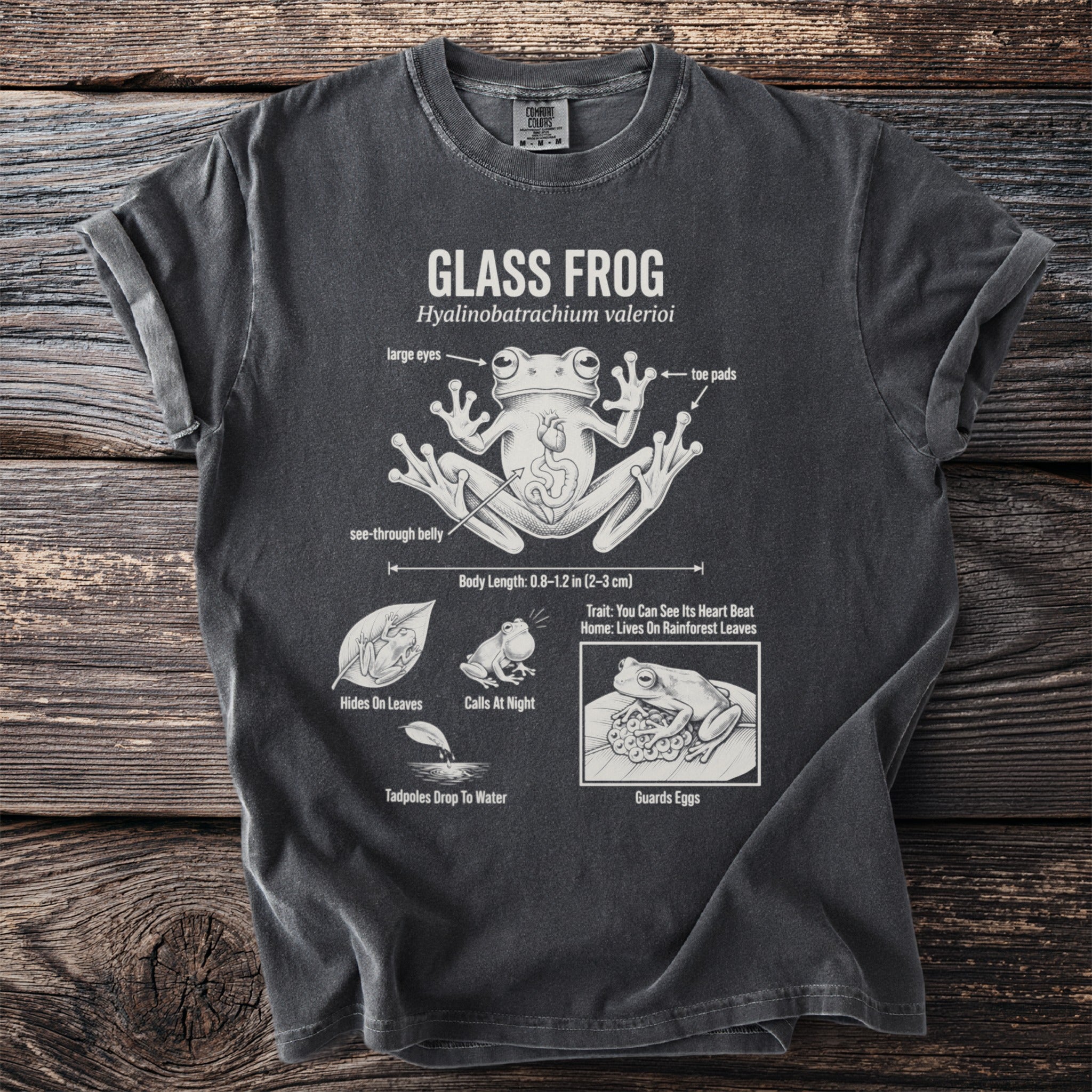 T-shirt featuring a scientific illustration of a Glass Frog with labels.