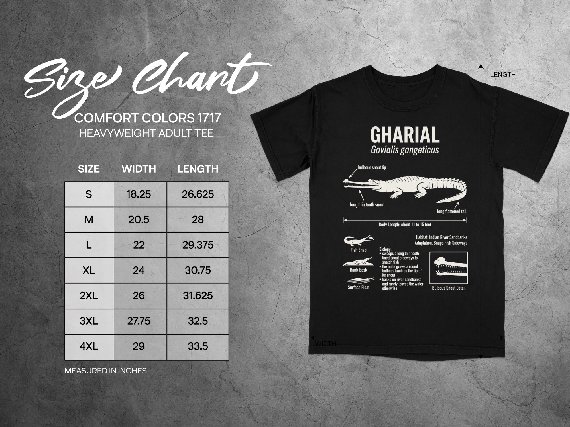 Gharial t-shirt with size chart and scientific illustration, measured in inches.