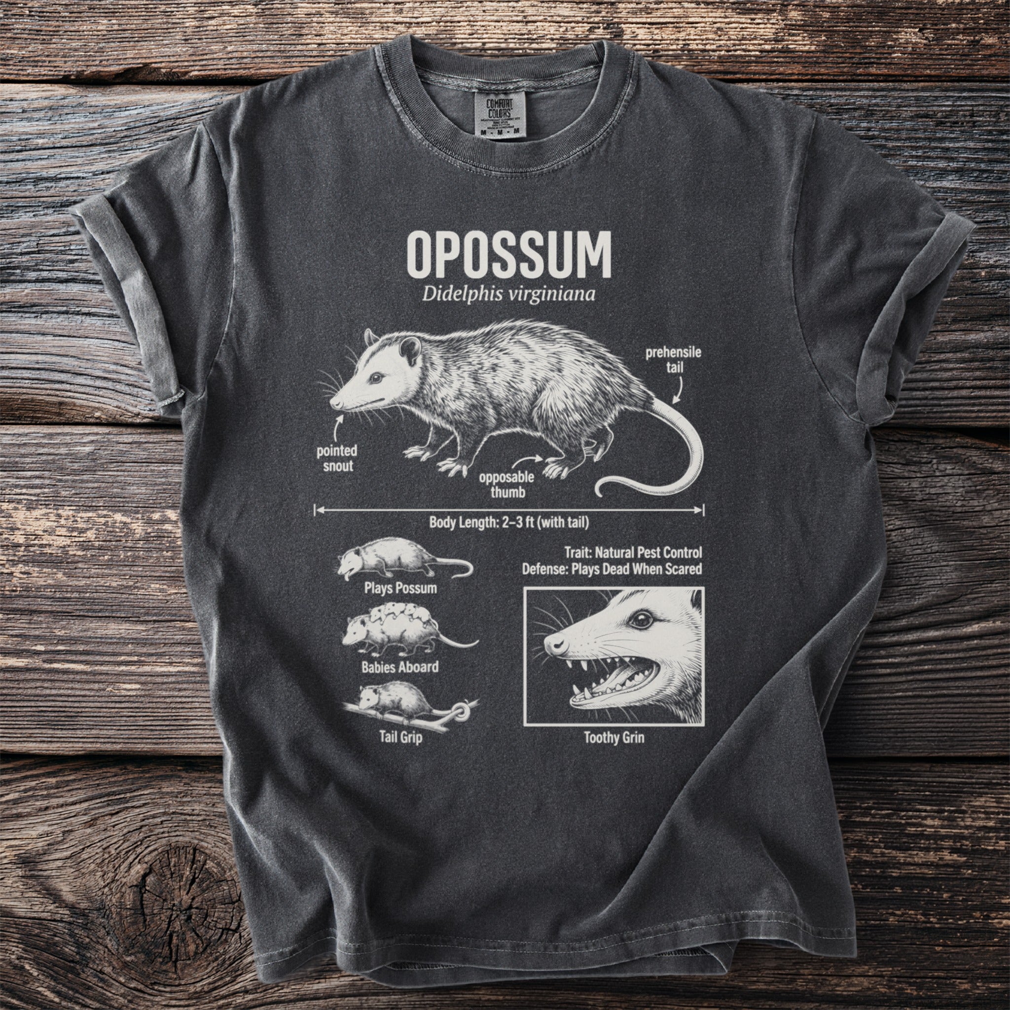 T-shirt with detailed opossum illustration, labeling its body parts and behaviors.