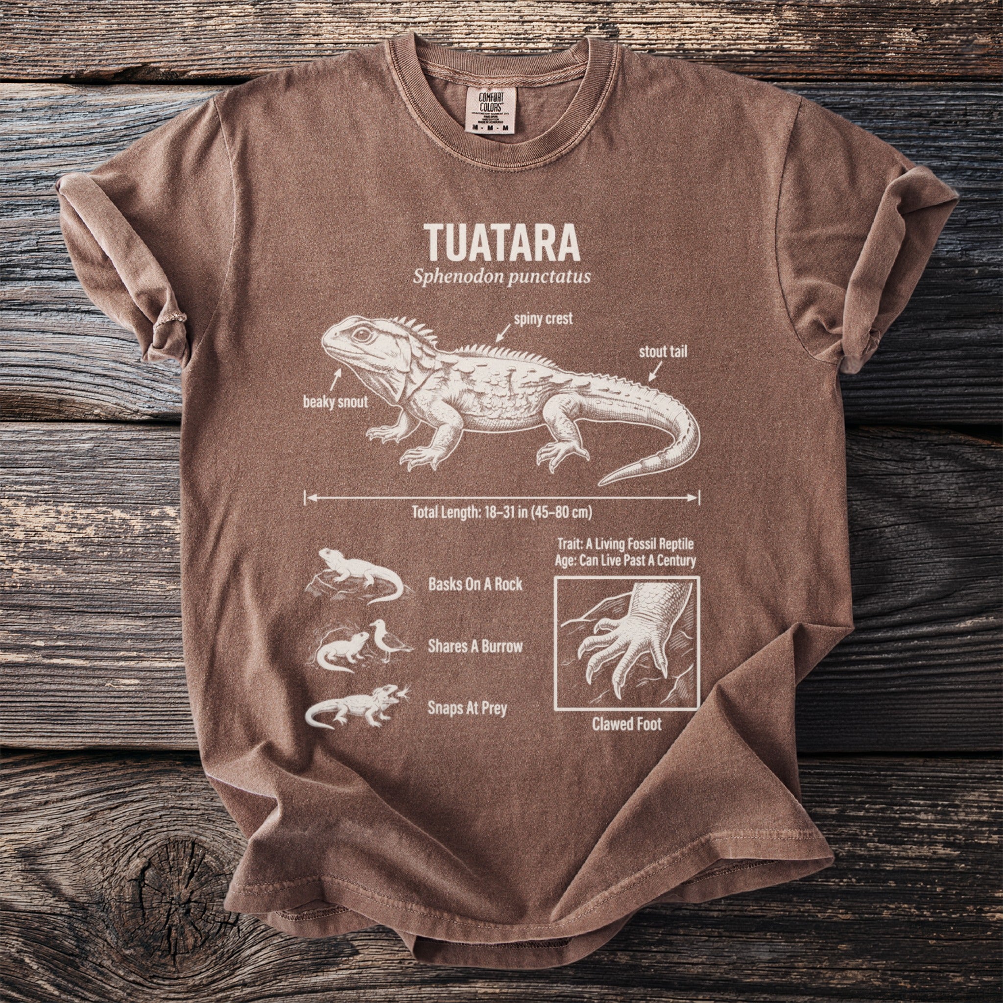 Brown t-shirt with Tuatara anatomical diagram, including length and traits.