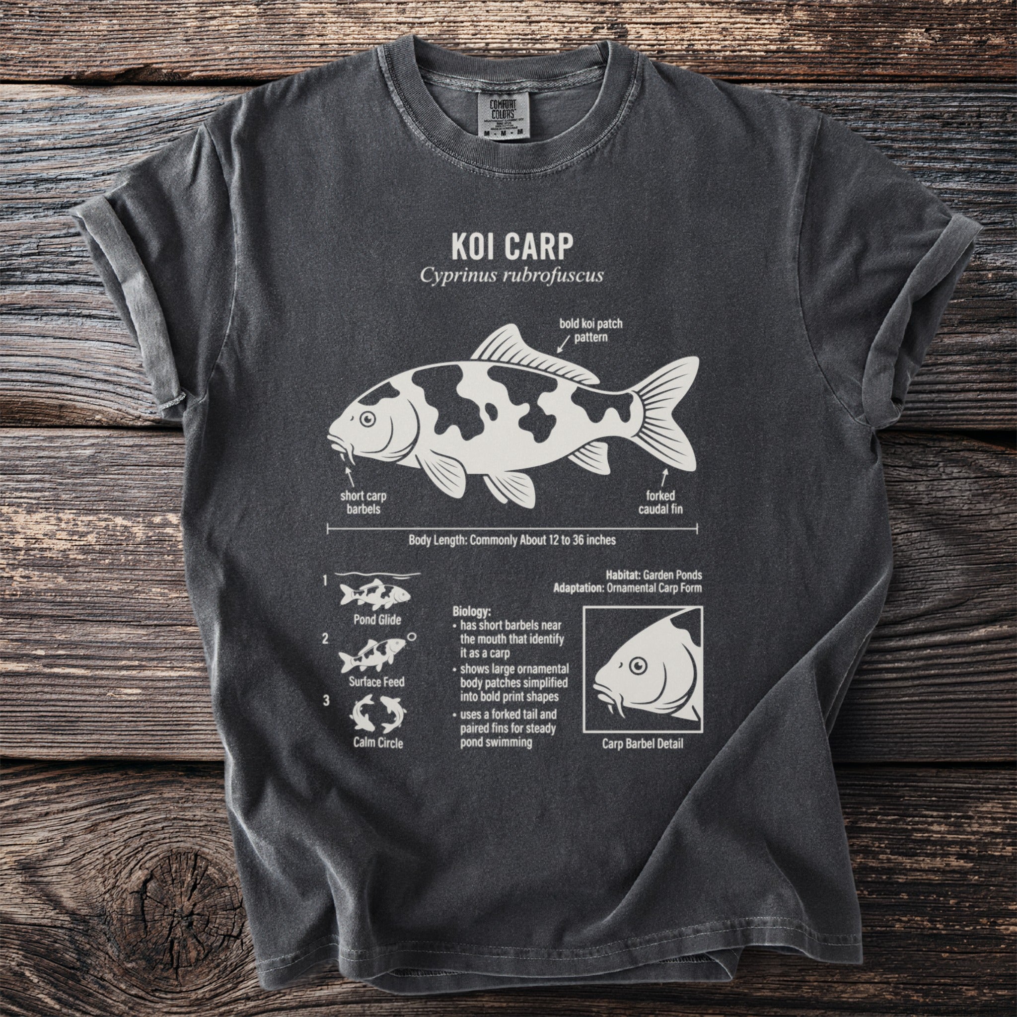 T-shirt with scientific illustration of a Koi Carp, showing barbels, fin, and body length.