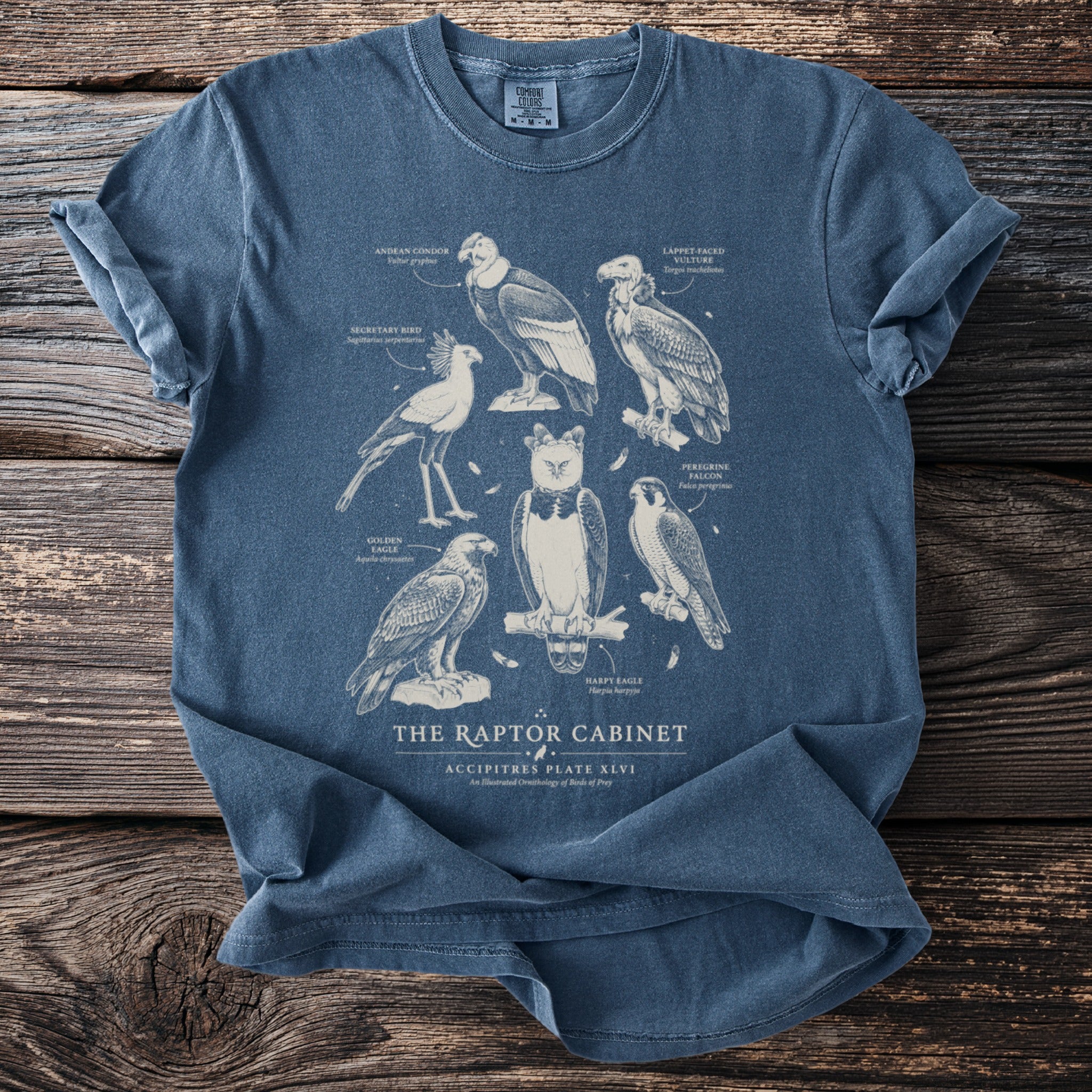 Blue t-shirt with "The Raptor Cabinet" and illustrations of six birds of prey.