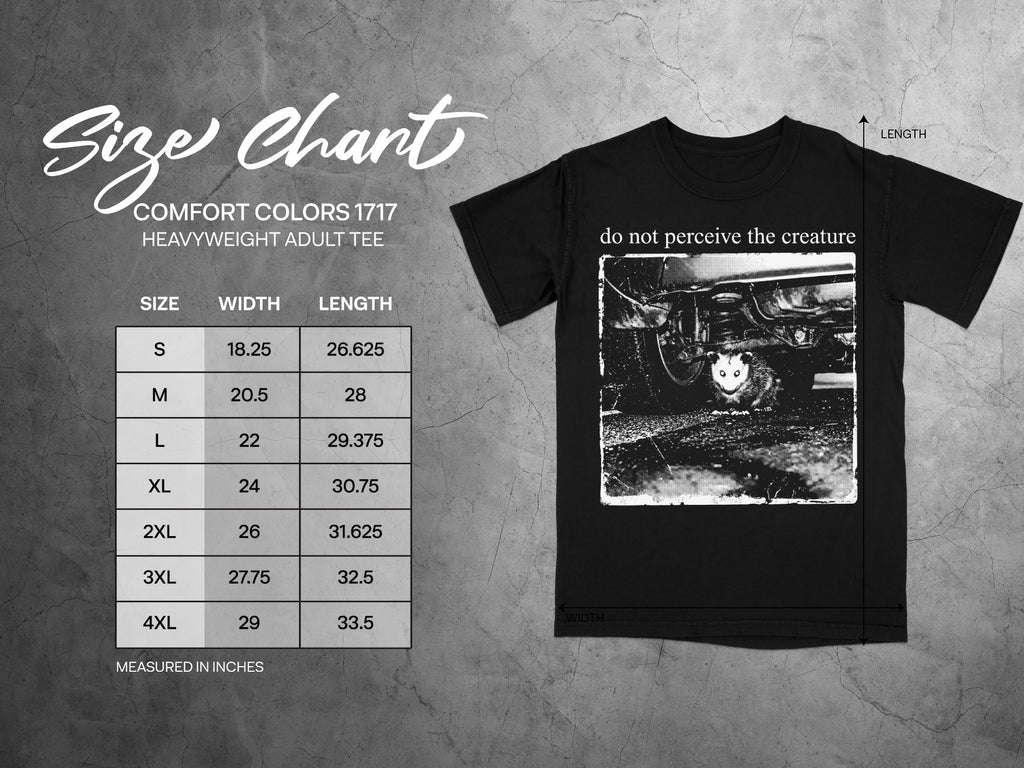 Comfort Colors 1717 garment size chart in inches.