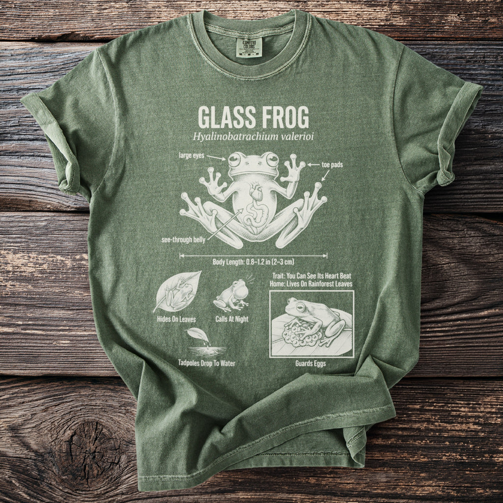 Green t-shirt with diagram of a glass frog, its anatomy, and behaviors.