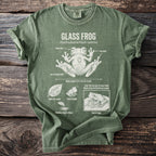 Green t-shirt with diagram of a glass frog, its anatomy, and behaviors.
