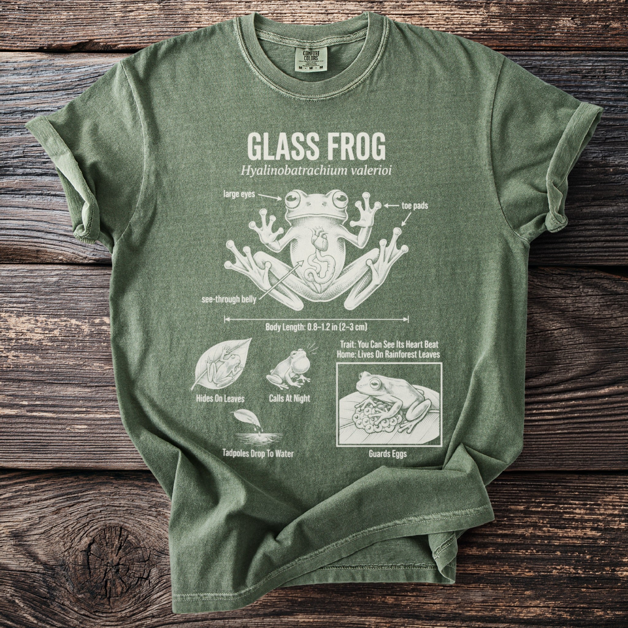 Green t-shirt with diagram of a glass frog, its anatomy, and behaviors.