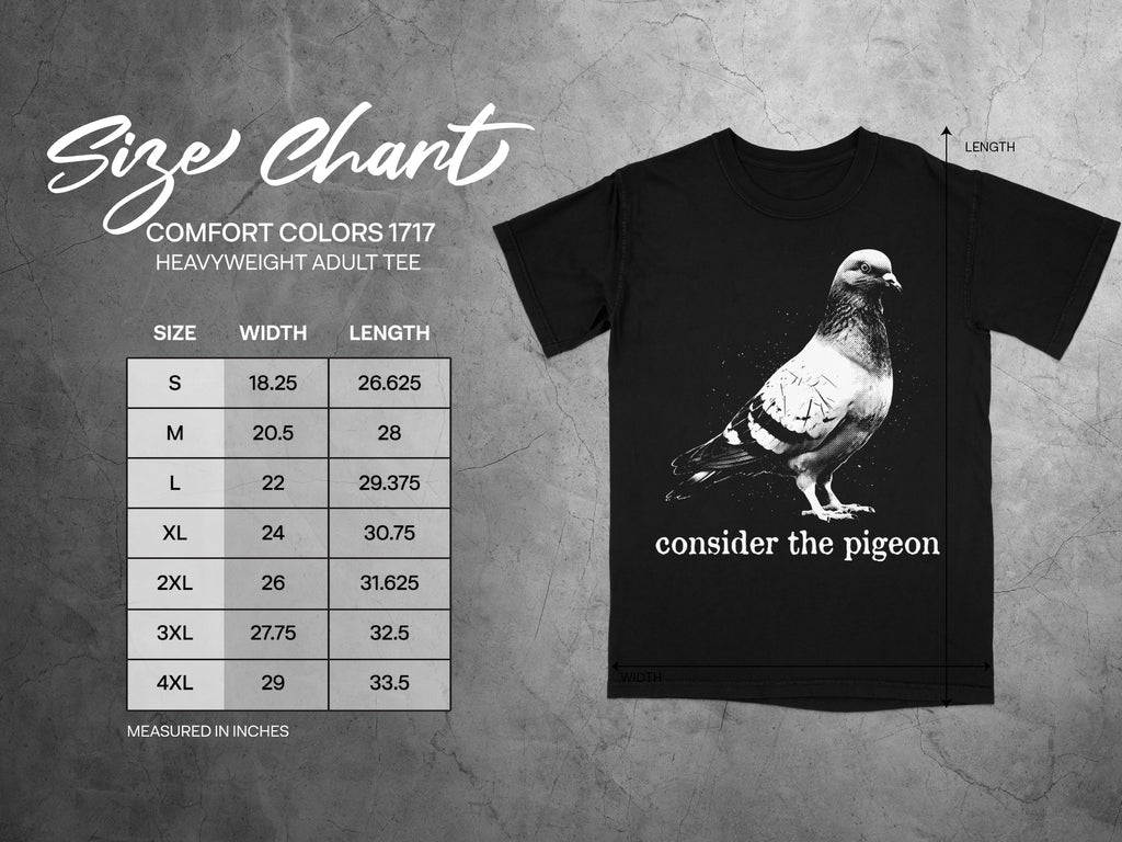 Comfort Colors 1717 garment size chart in inches.