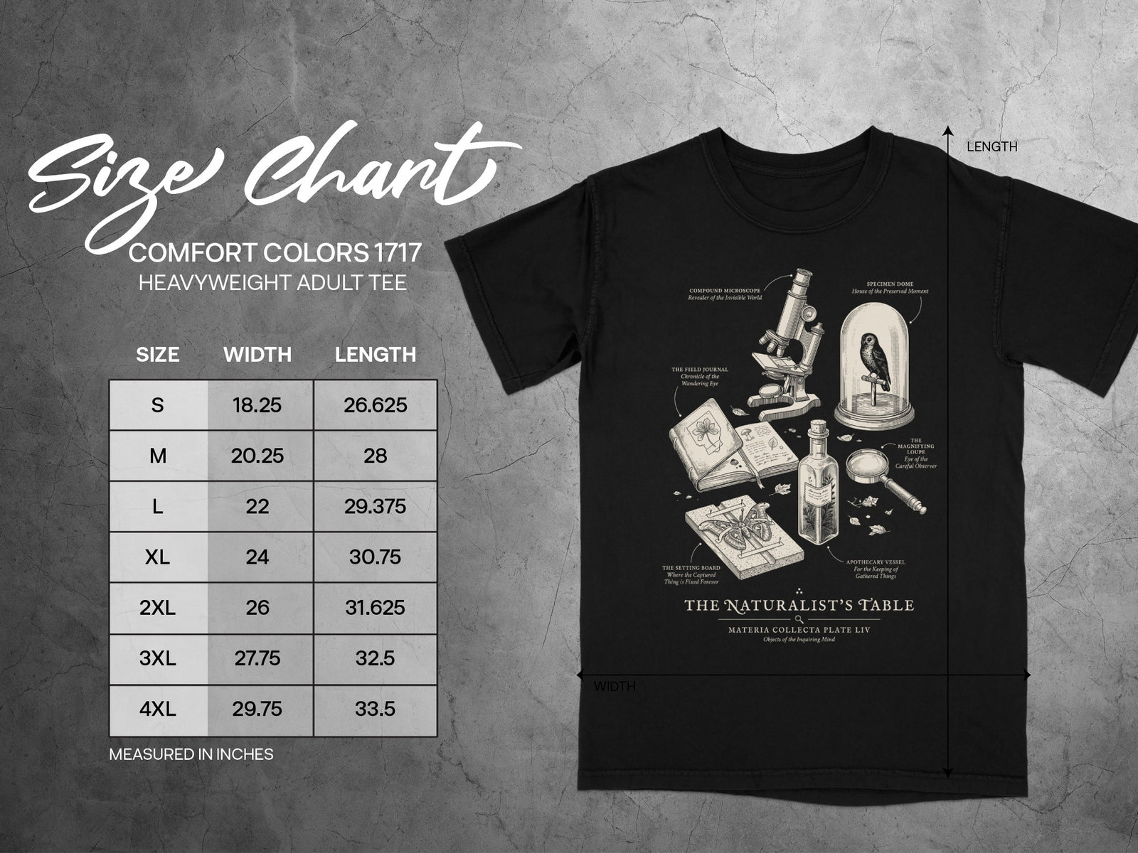 Black t-shirt with "The Naturalist's Table" illustration and Comfort Colors size chart.