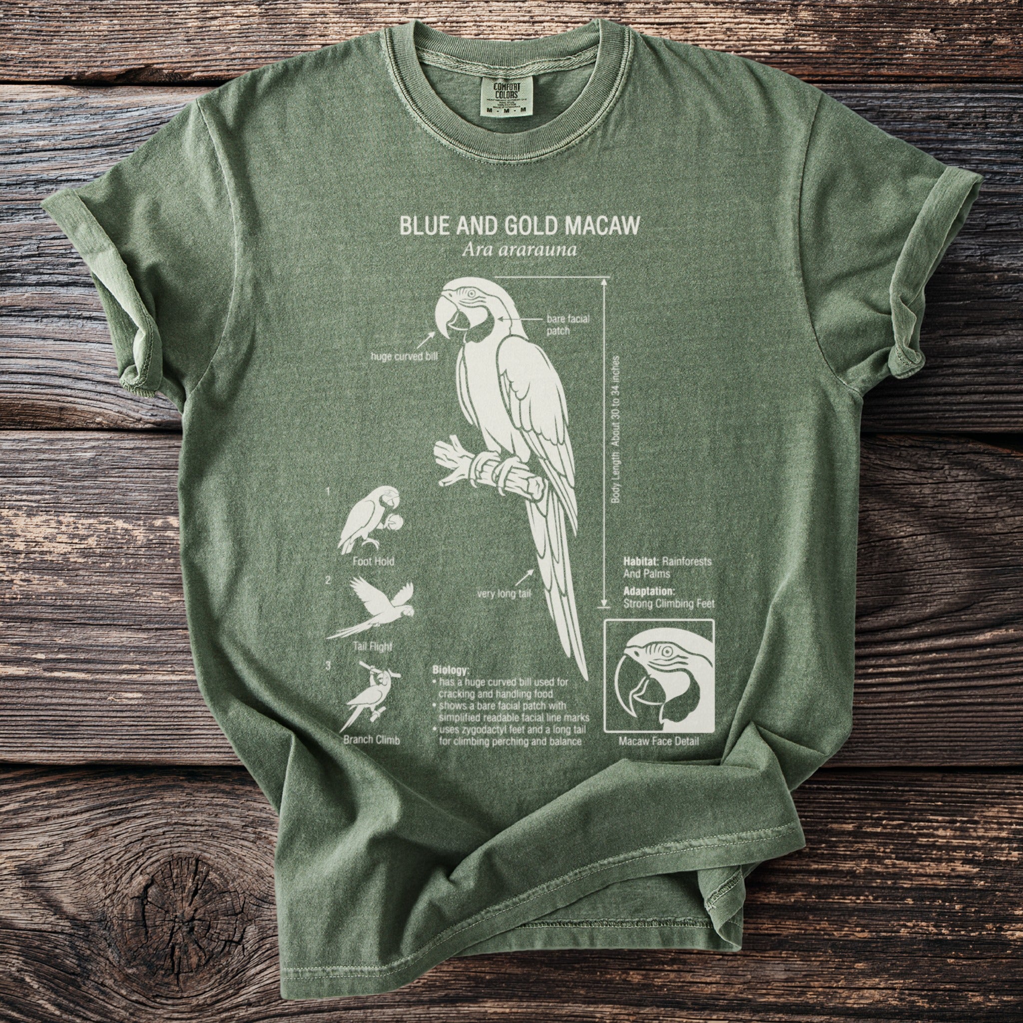 Green t-shirt with a blue and gold macaw diagram, its biology, and adaptations.