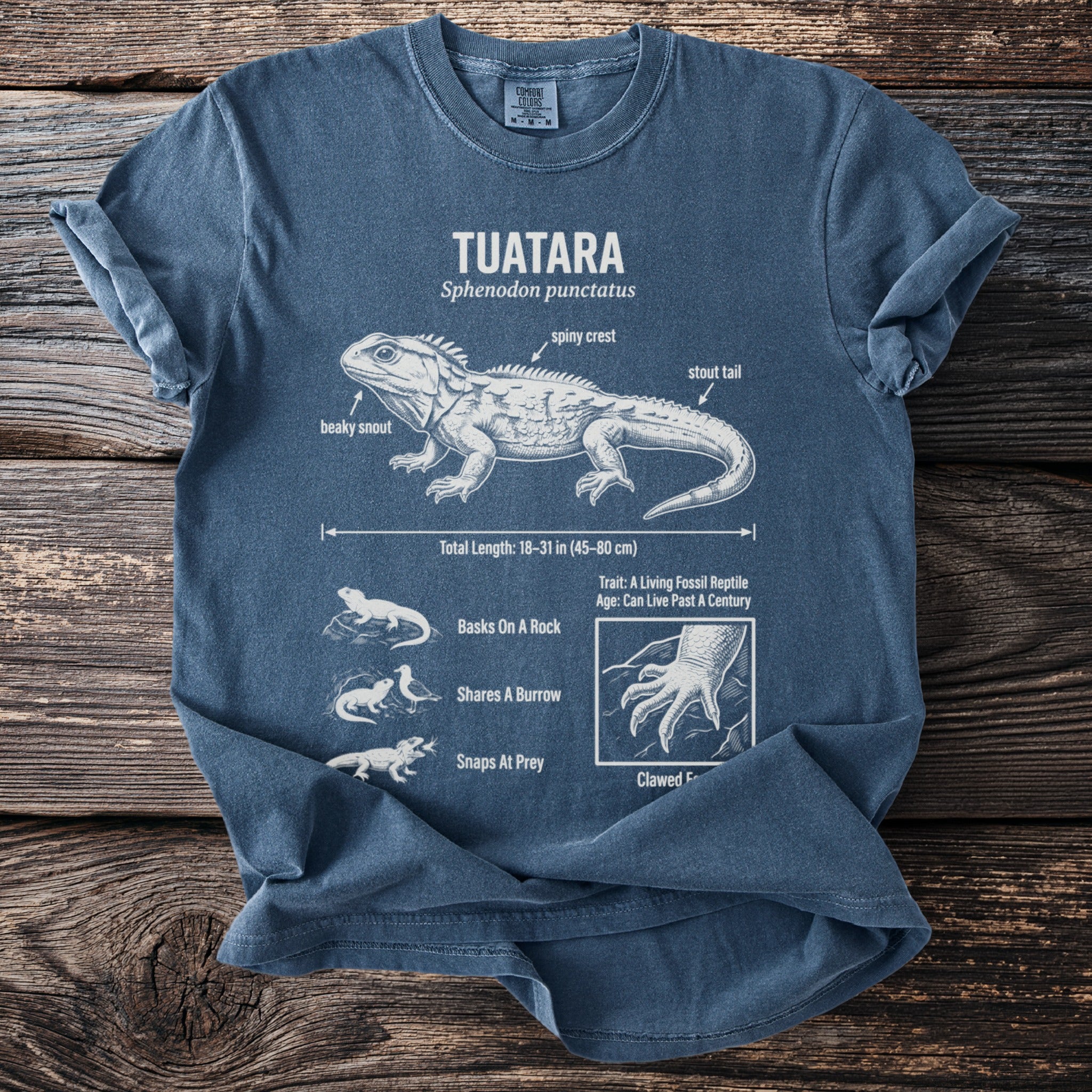 Navy t-shirt with white diagram of a tuatara detailing its anatomy and behaviors.