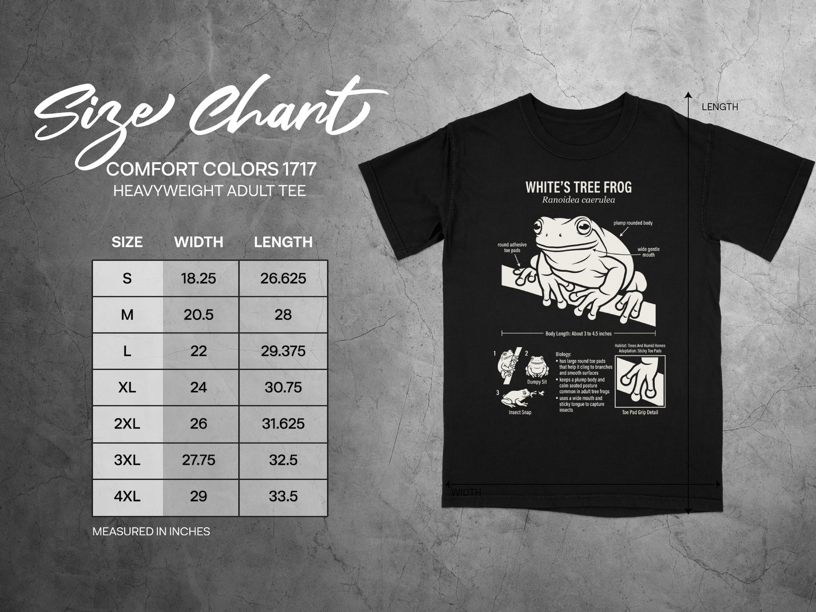 White's Tree Frog t-shirt with size chart and frog illustration.
